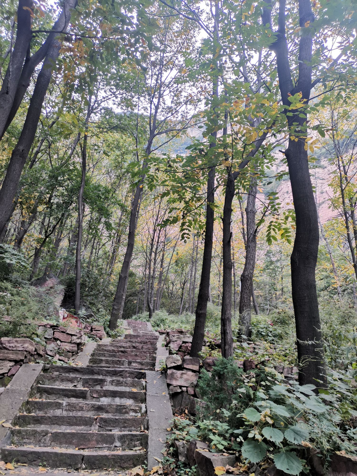 嶂石岩风景名胜区旅行图片 3