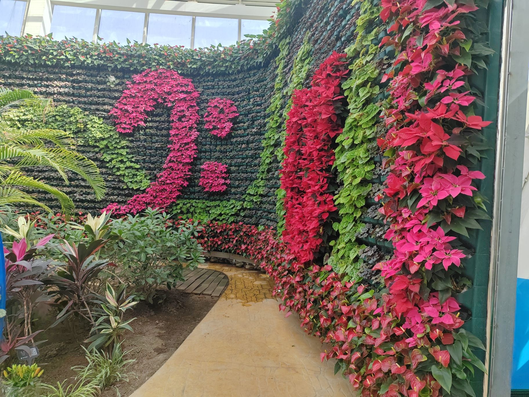 嶂石岩风景名胜区旅行图片 3
