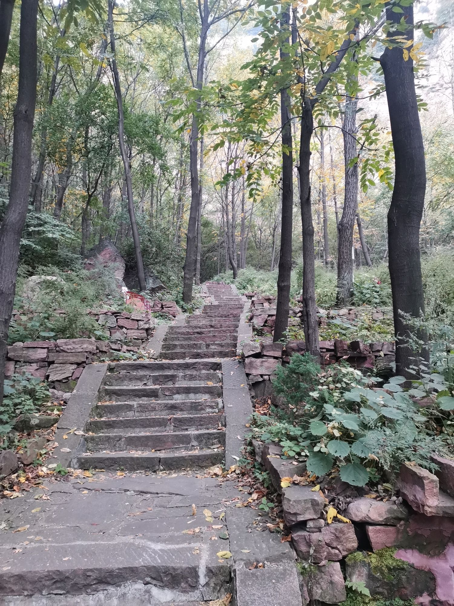 嶂石岩风景名胜区旅行图片 2