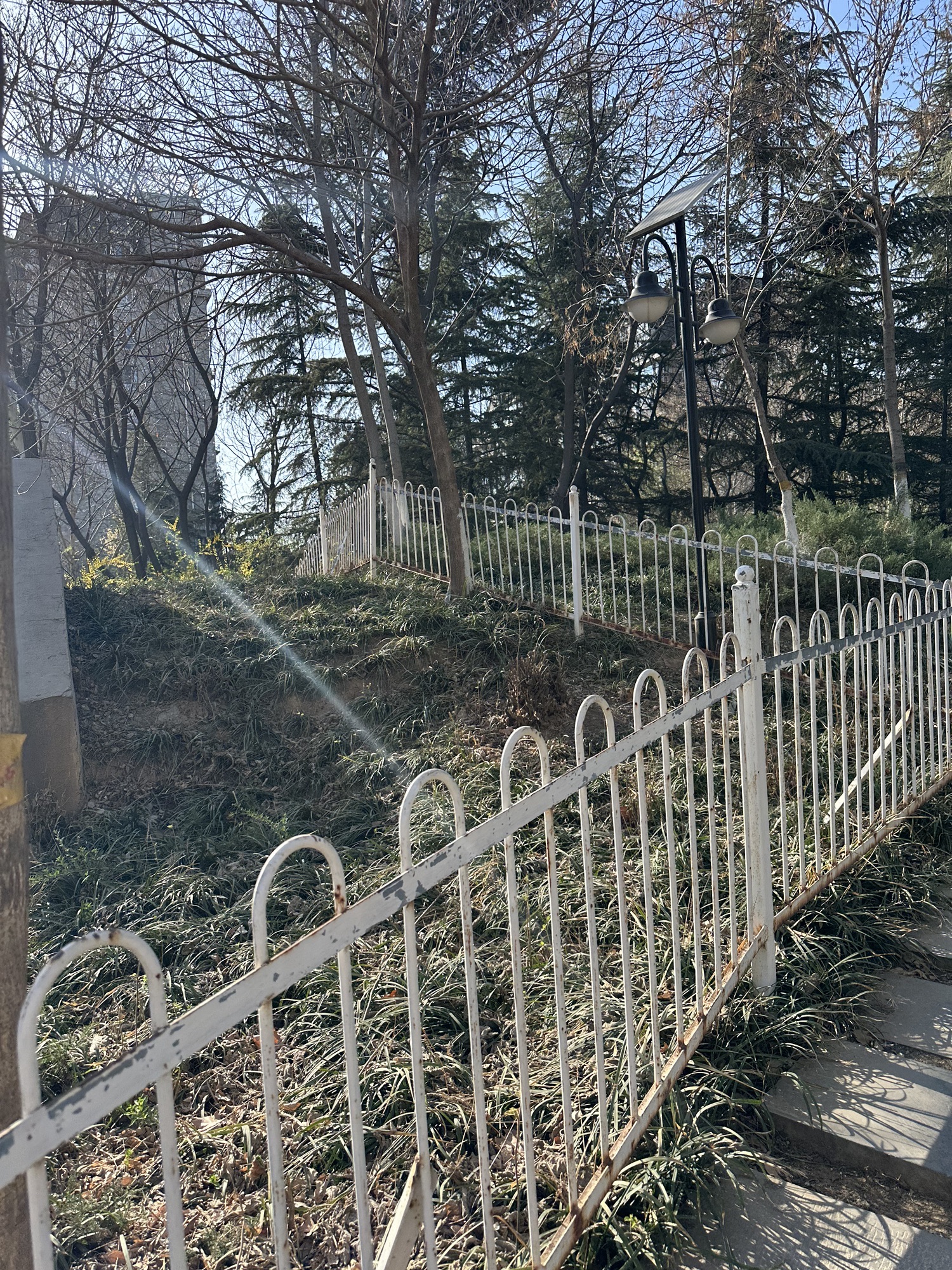 槐北公园旅行图片 2