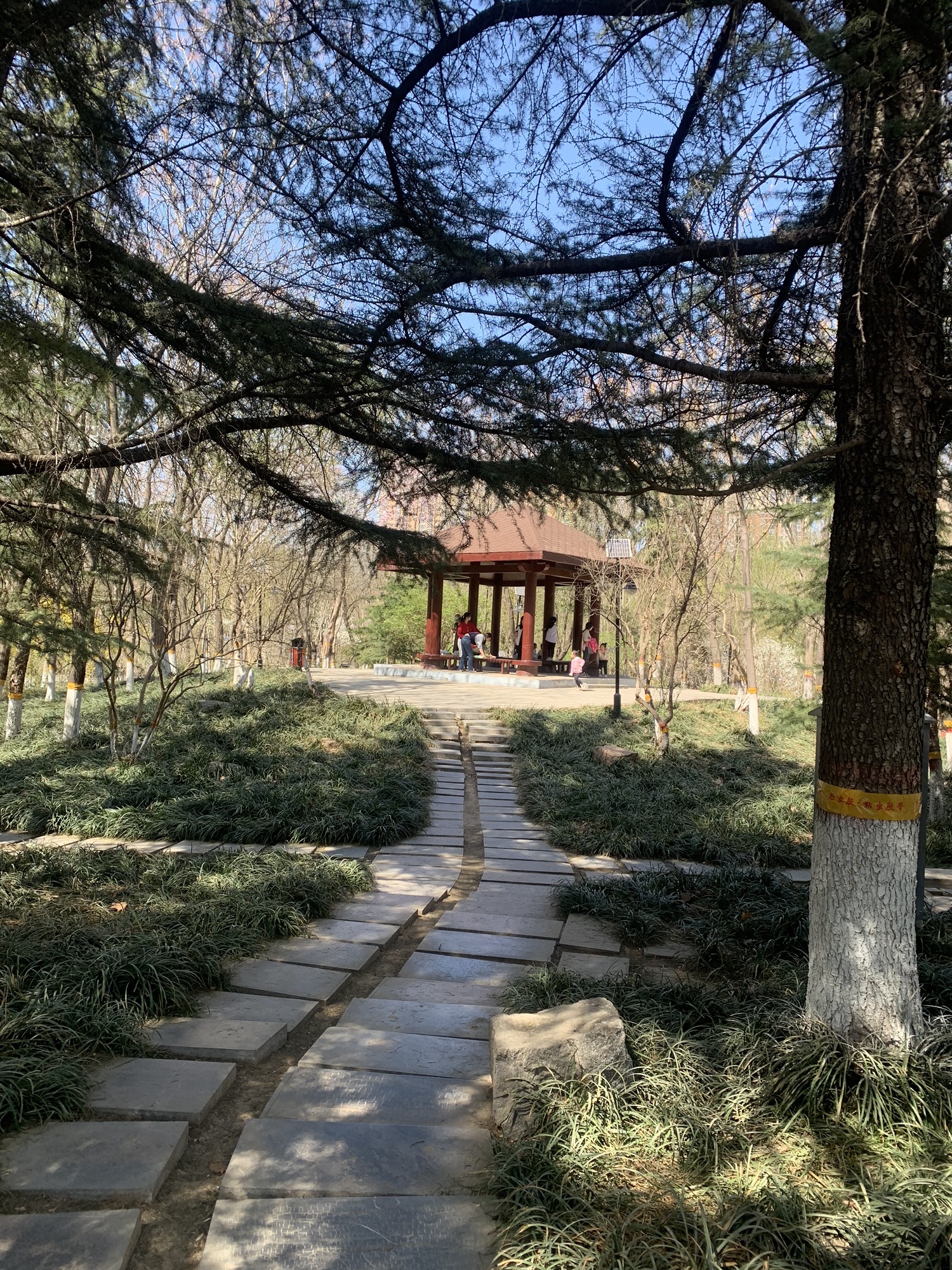 槐北公园旅行图片 2