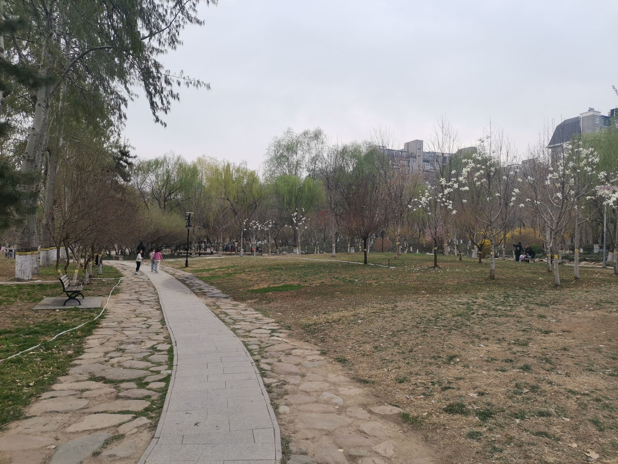 槐北公园旅行图片 3