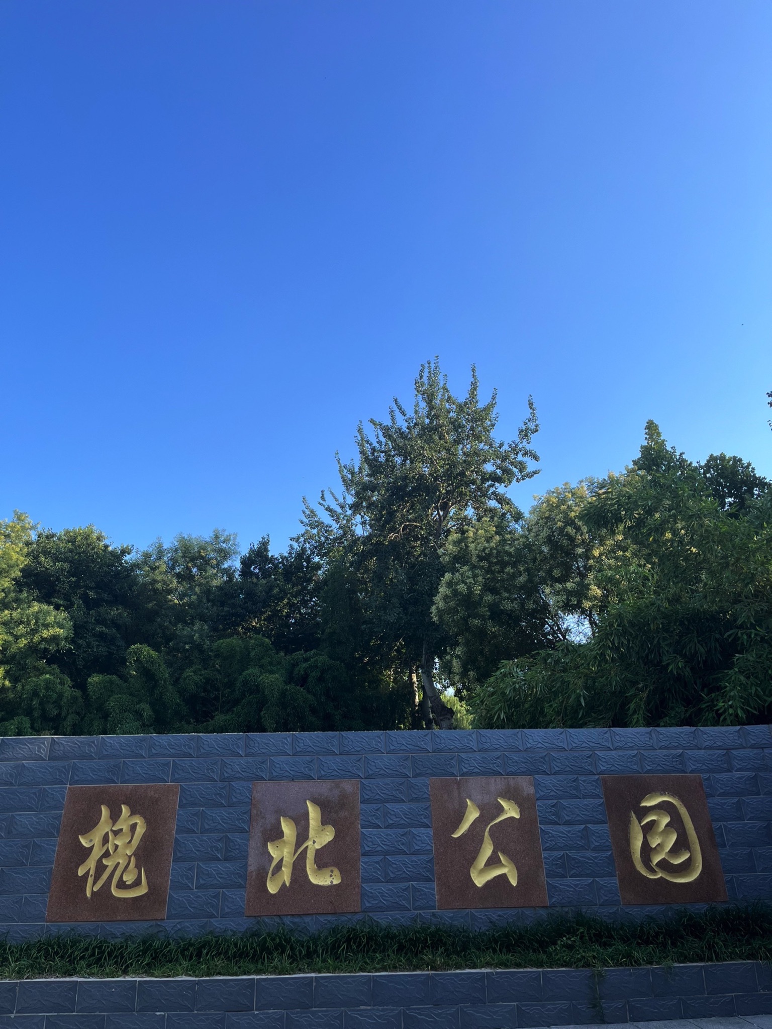 槐北公园旅行图片 1
