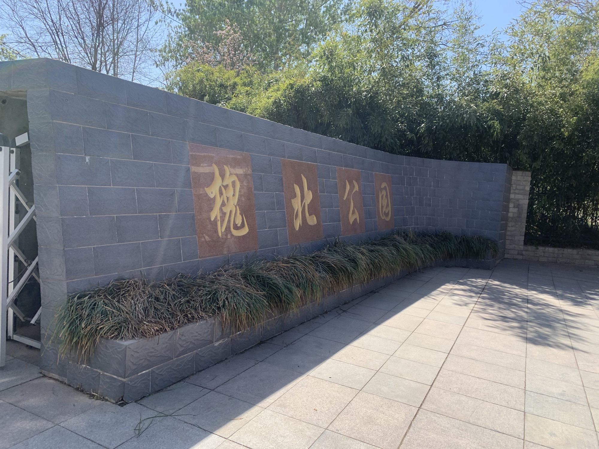 槐北公园旅行图片 1