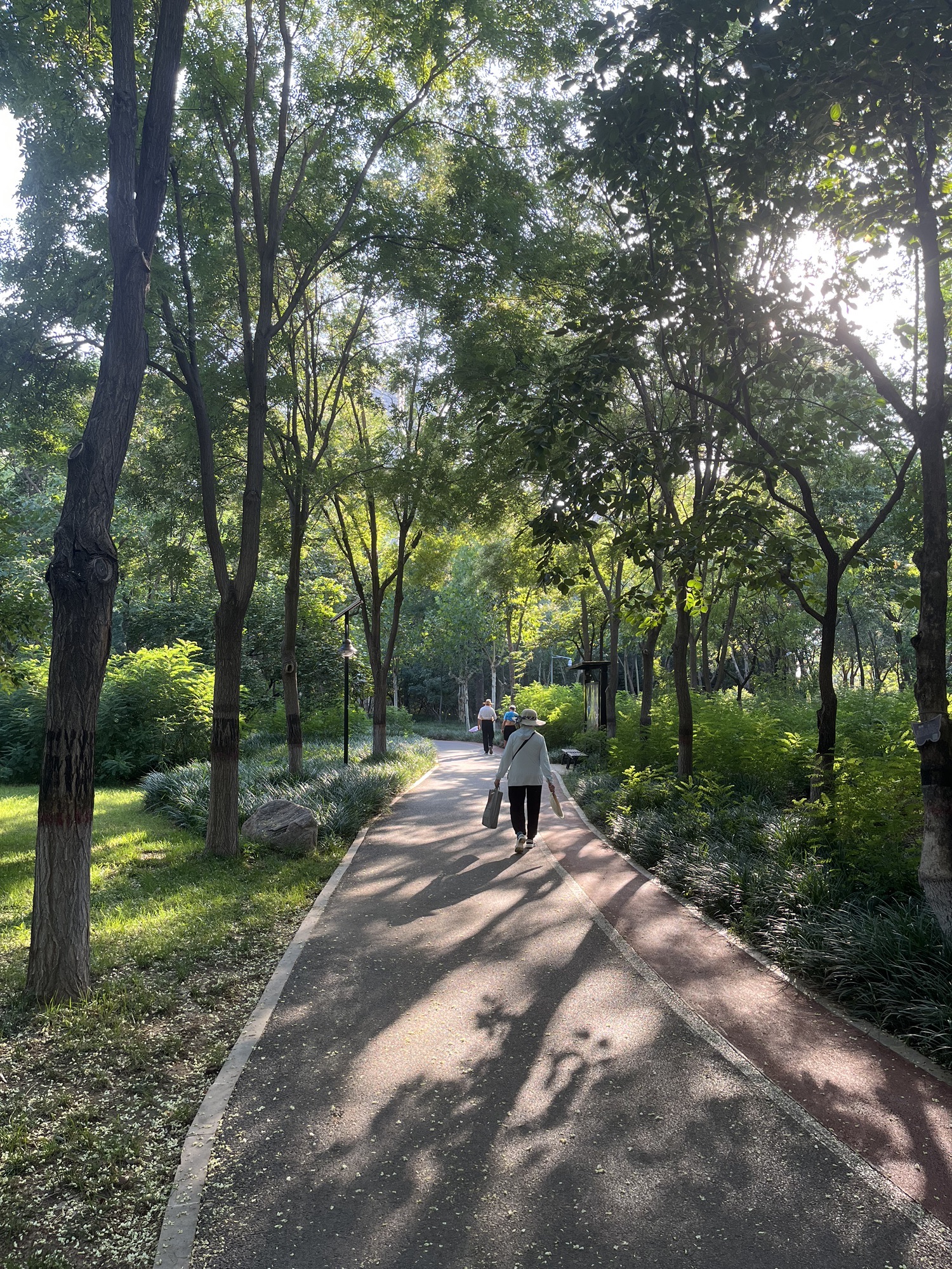 槐北公园旅行图片 3