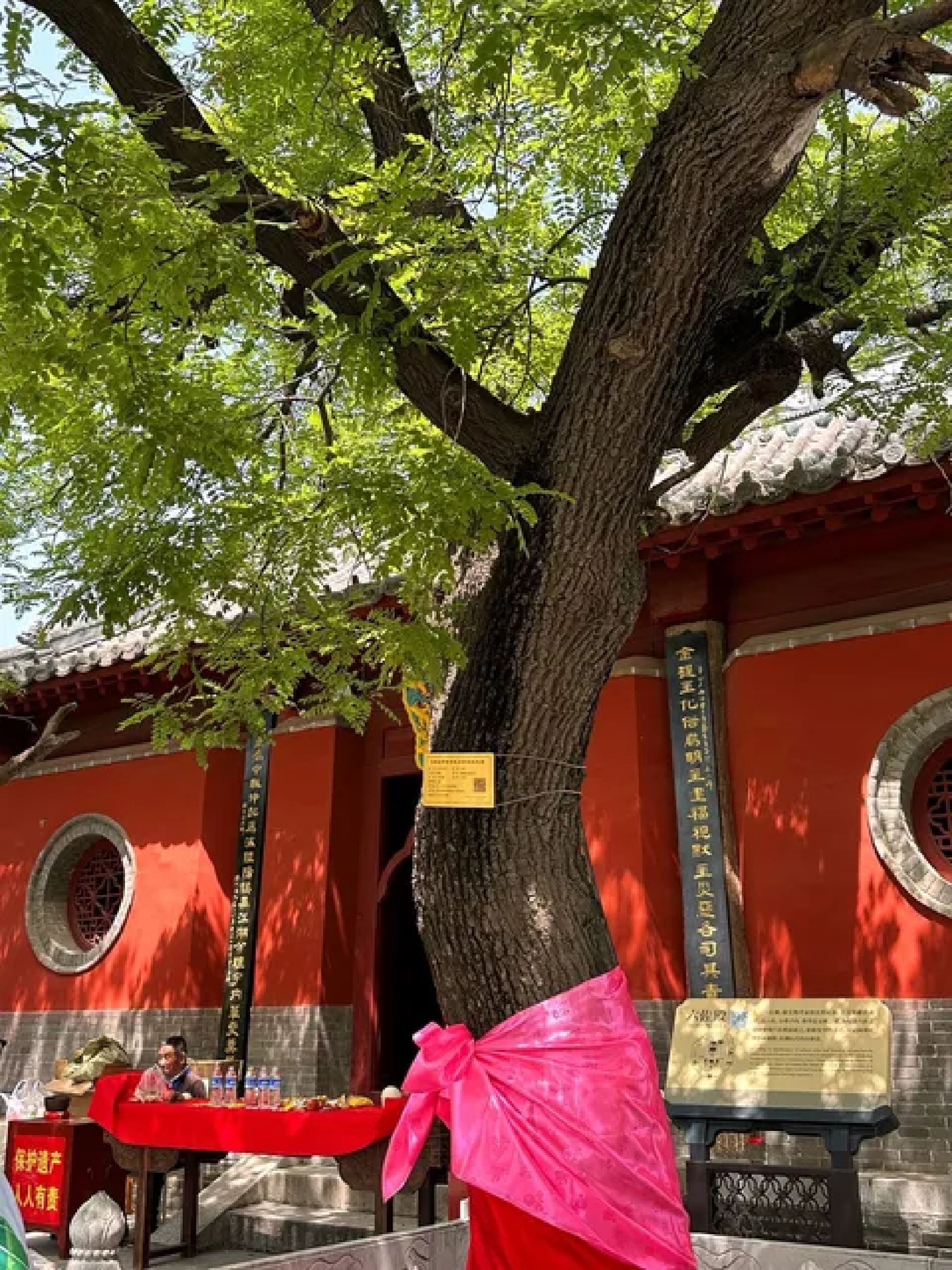 伏羲台旅行图片 1