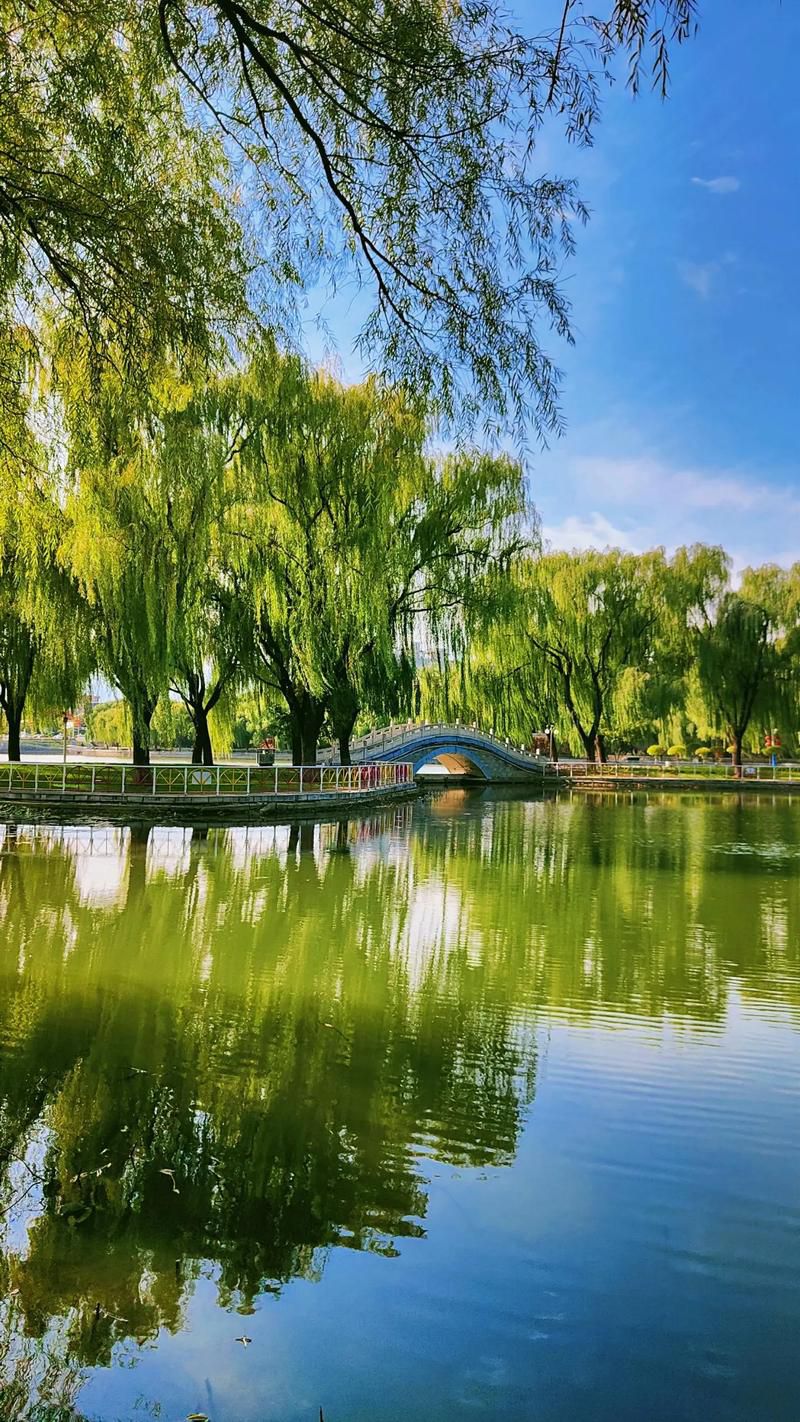海山公园旅行图片 2