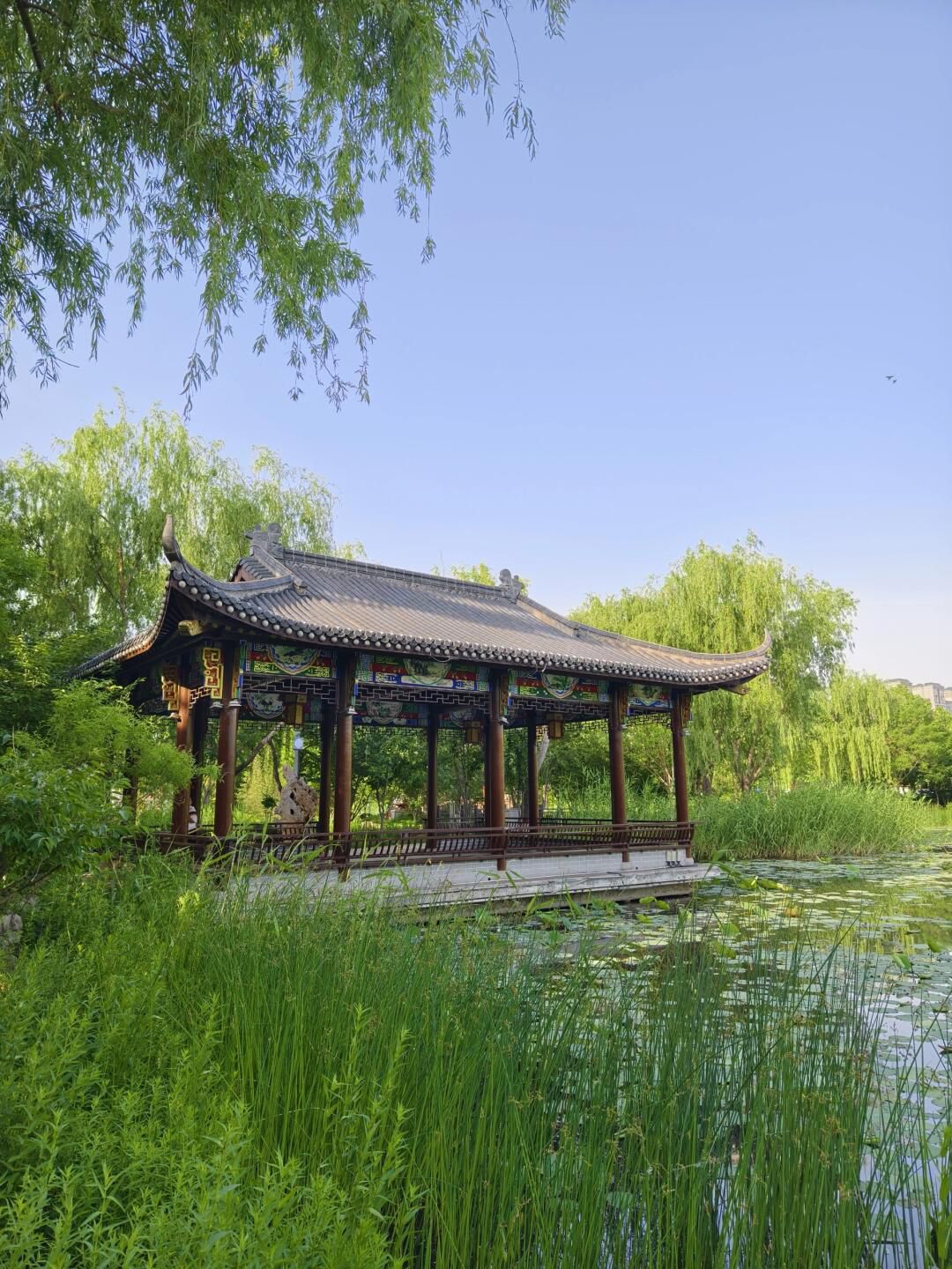 海山公园旅行图片 1