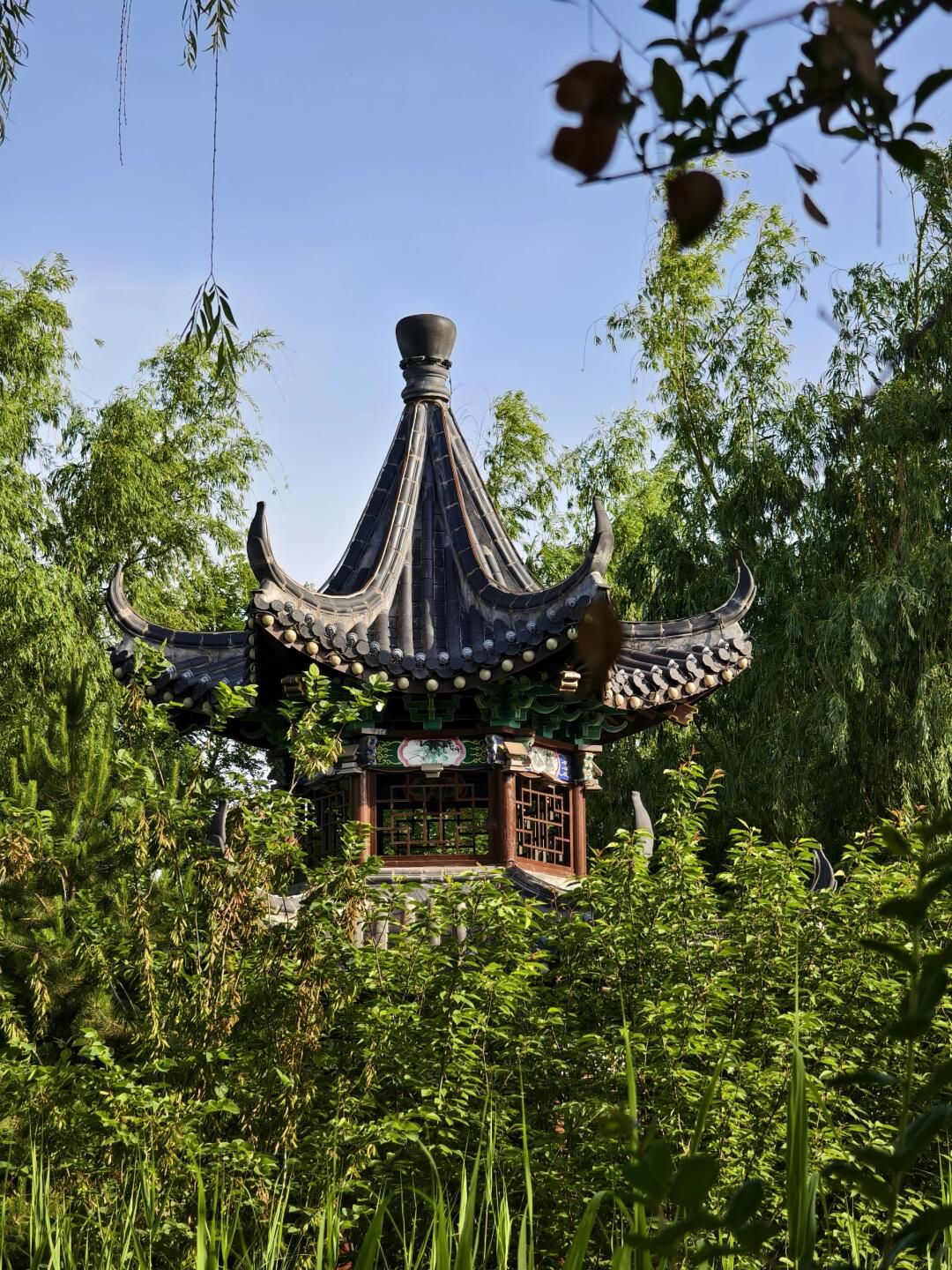 海山公园旅行图片 2
