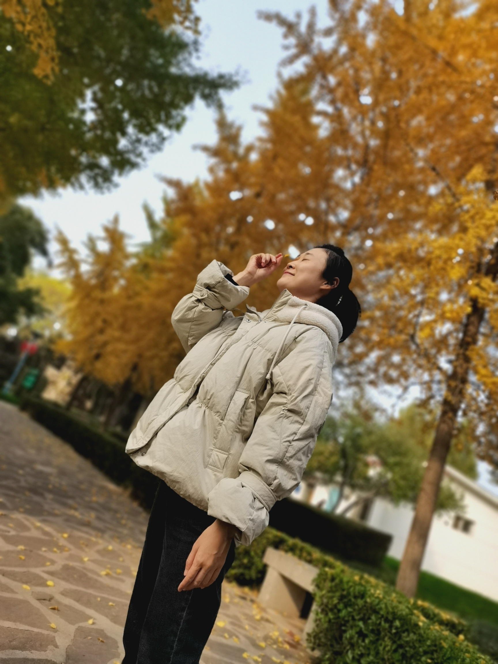 海山公园旅行图片 1