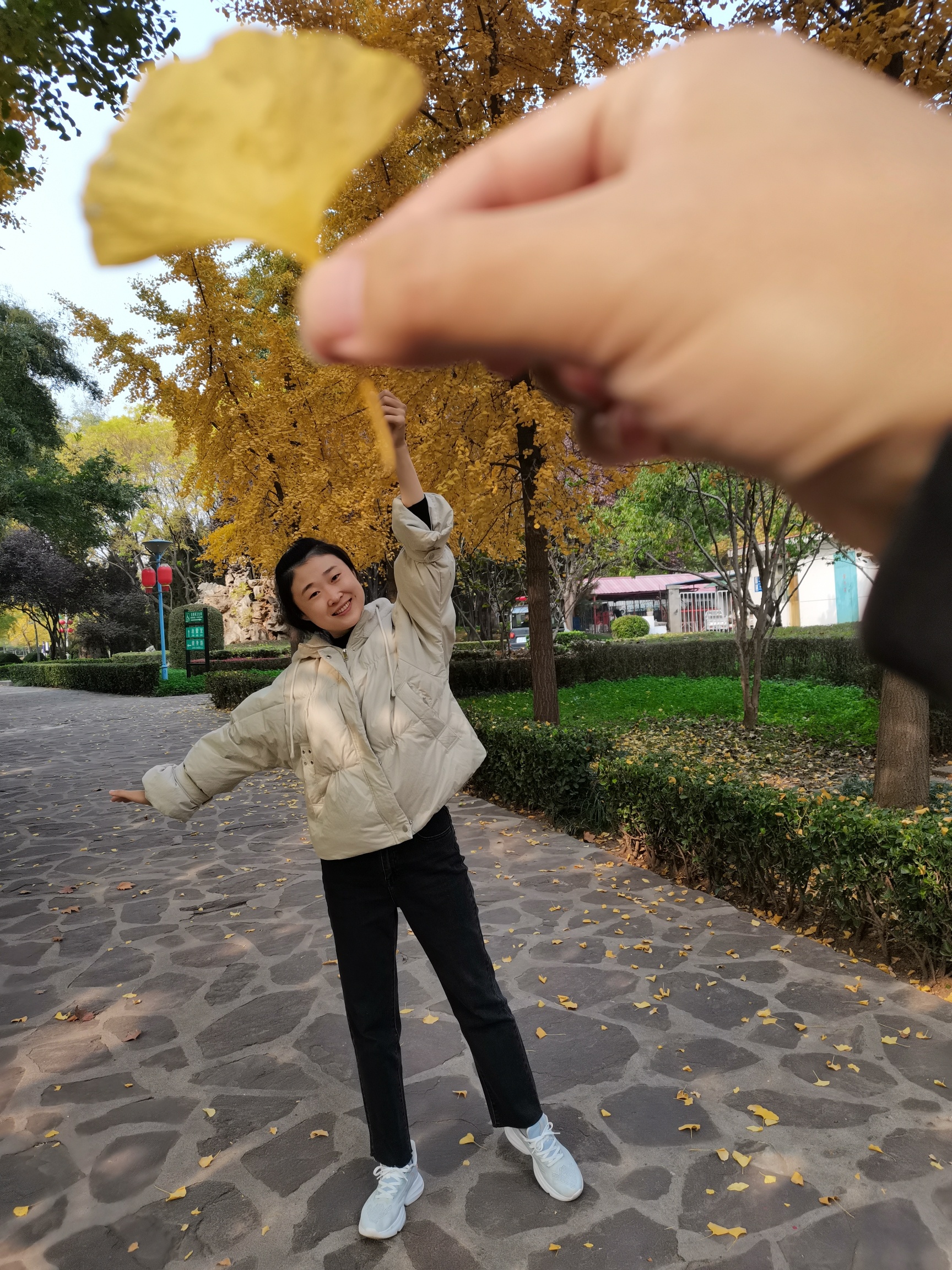海山公园旅行图片 2