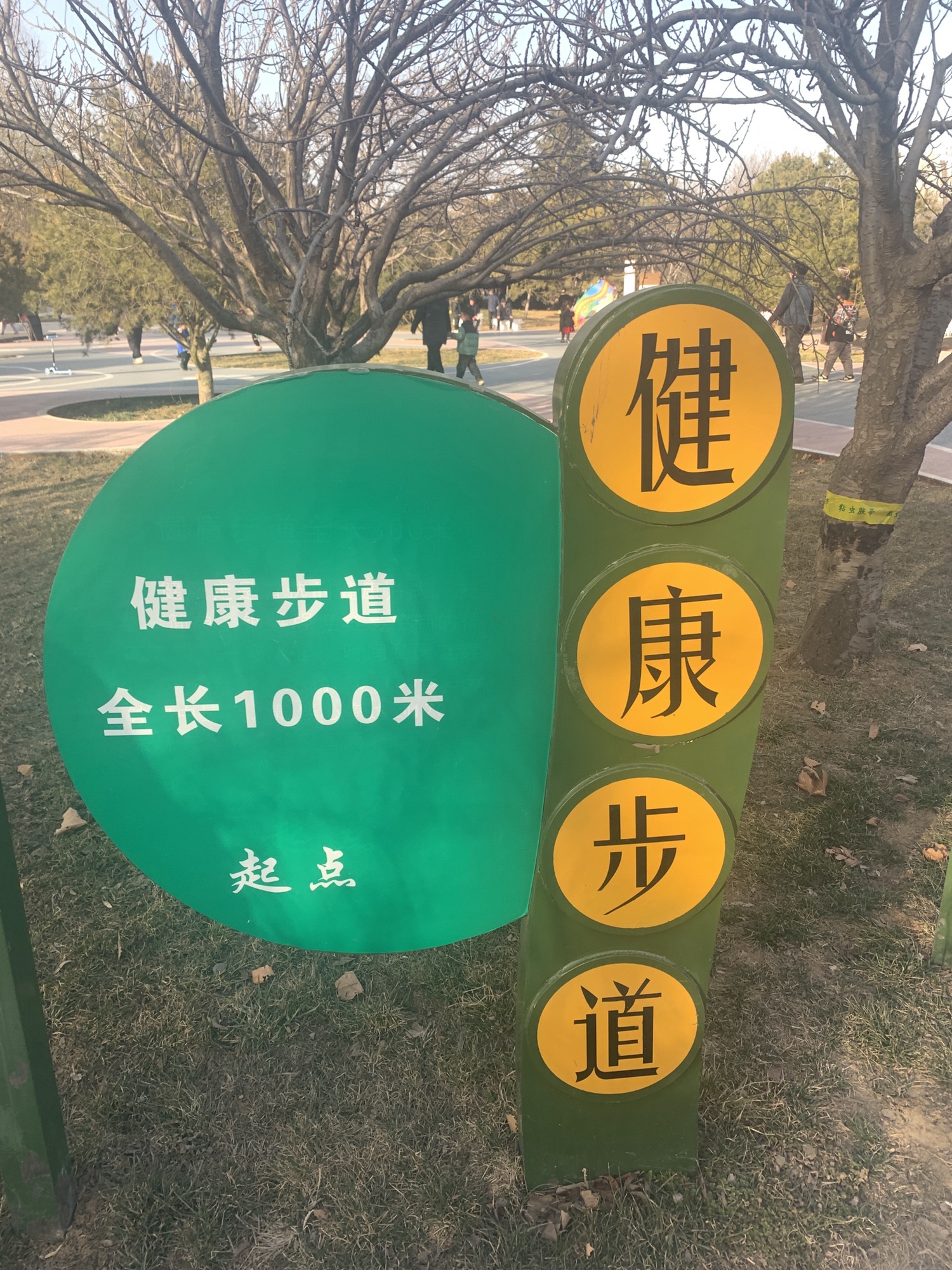 樱花公园旅行图片 3