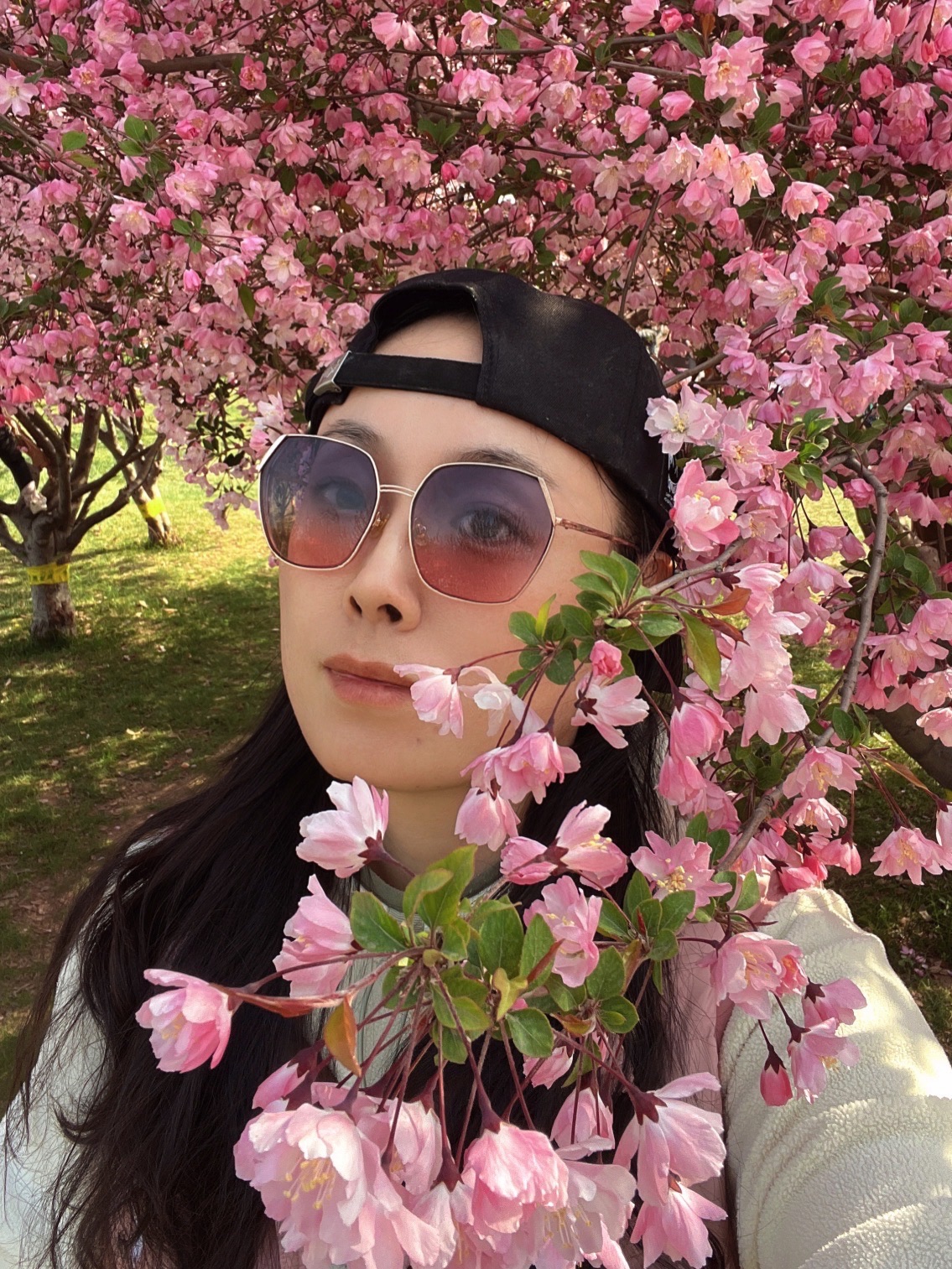 樱花公园旅行图片 1