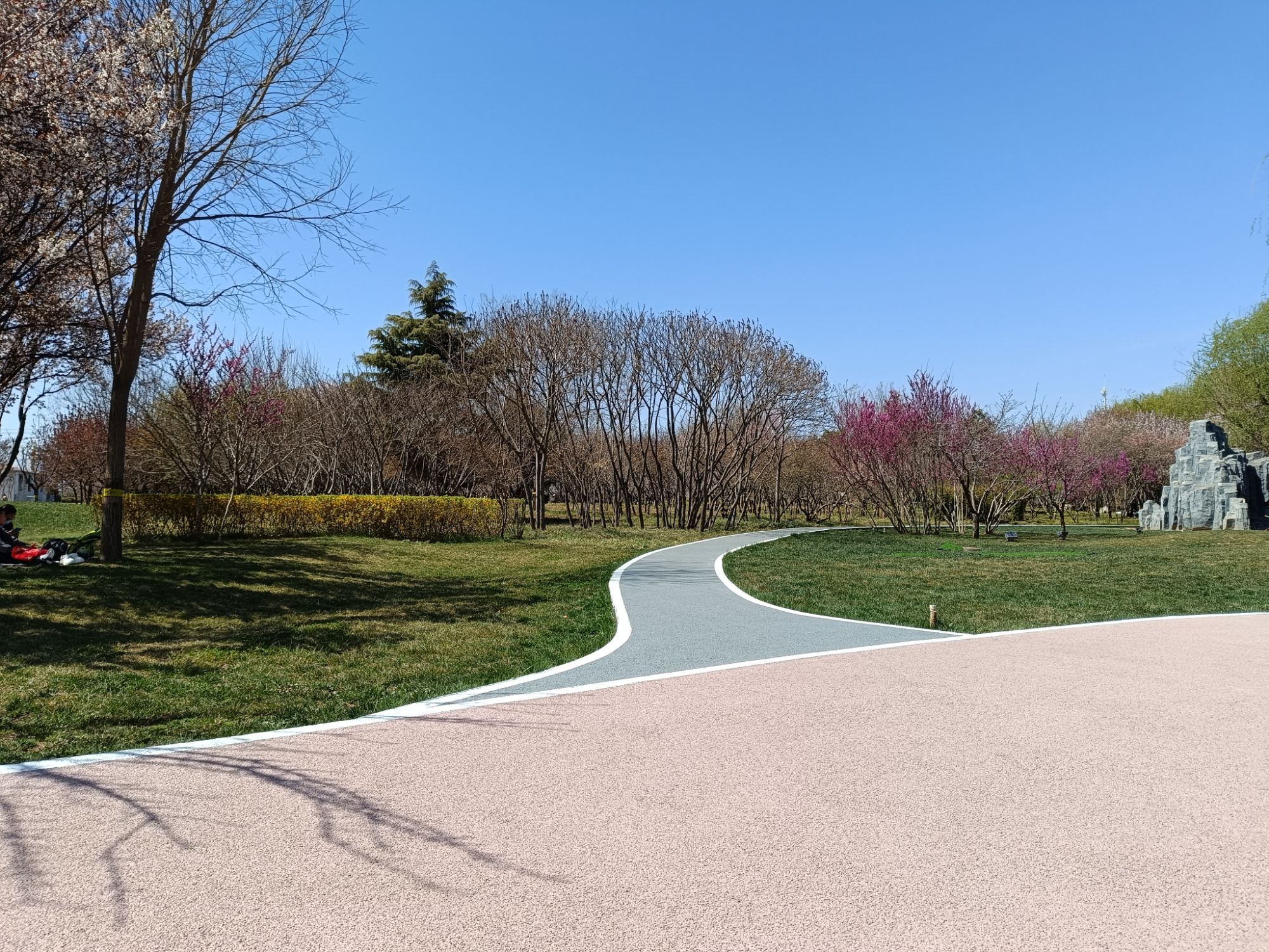 樱花公园旅行图片 2