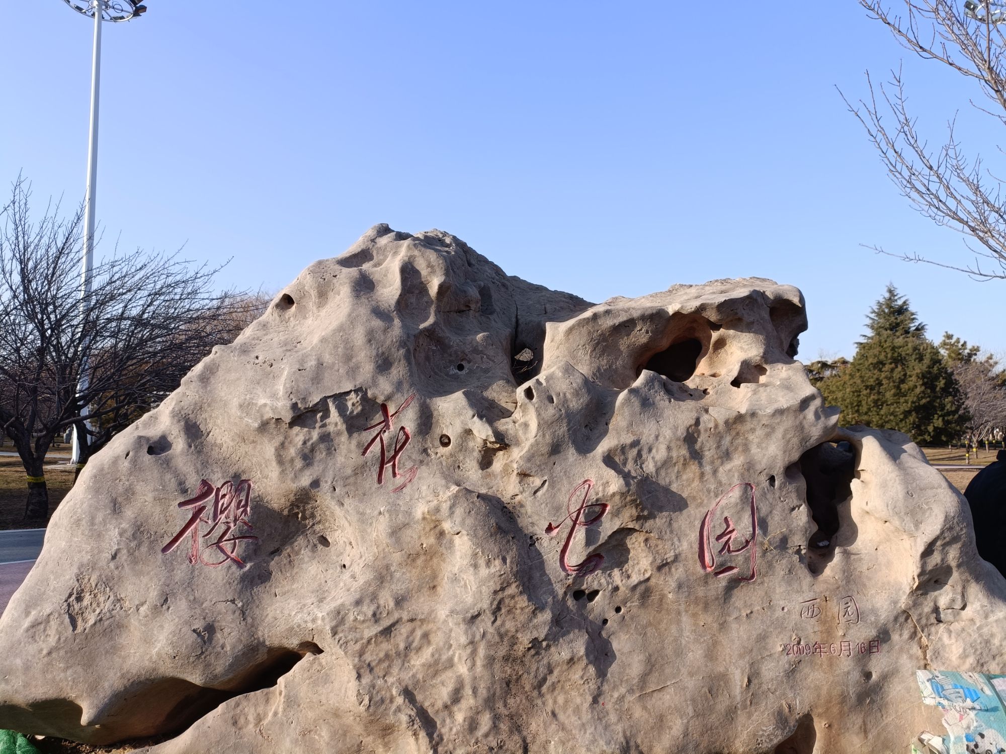 樱花公园旅行图片 3