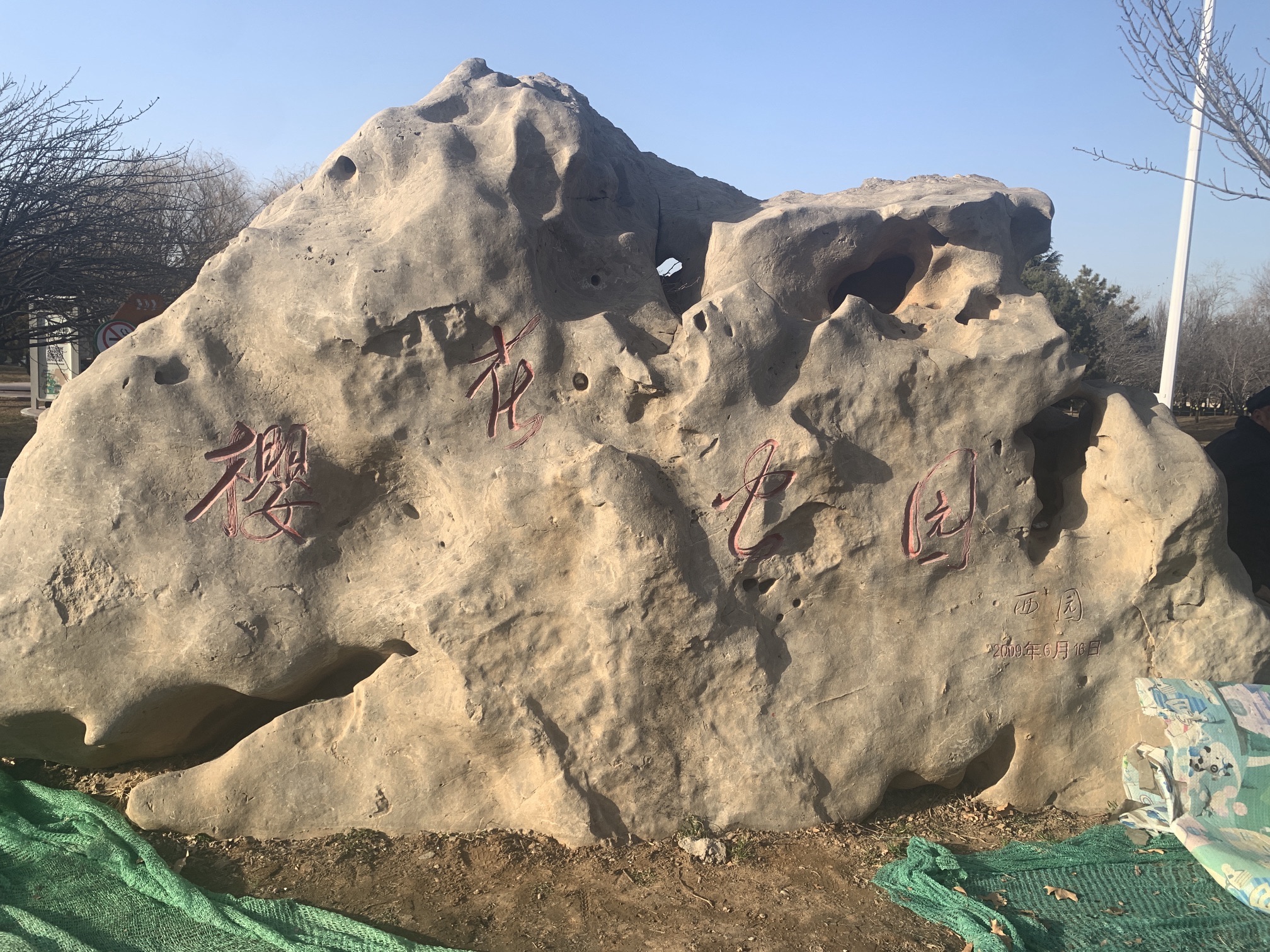 樱花公园旅行图片 1