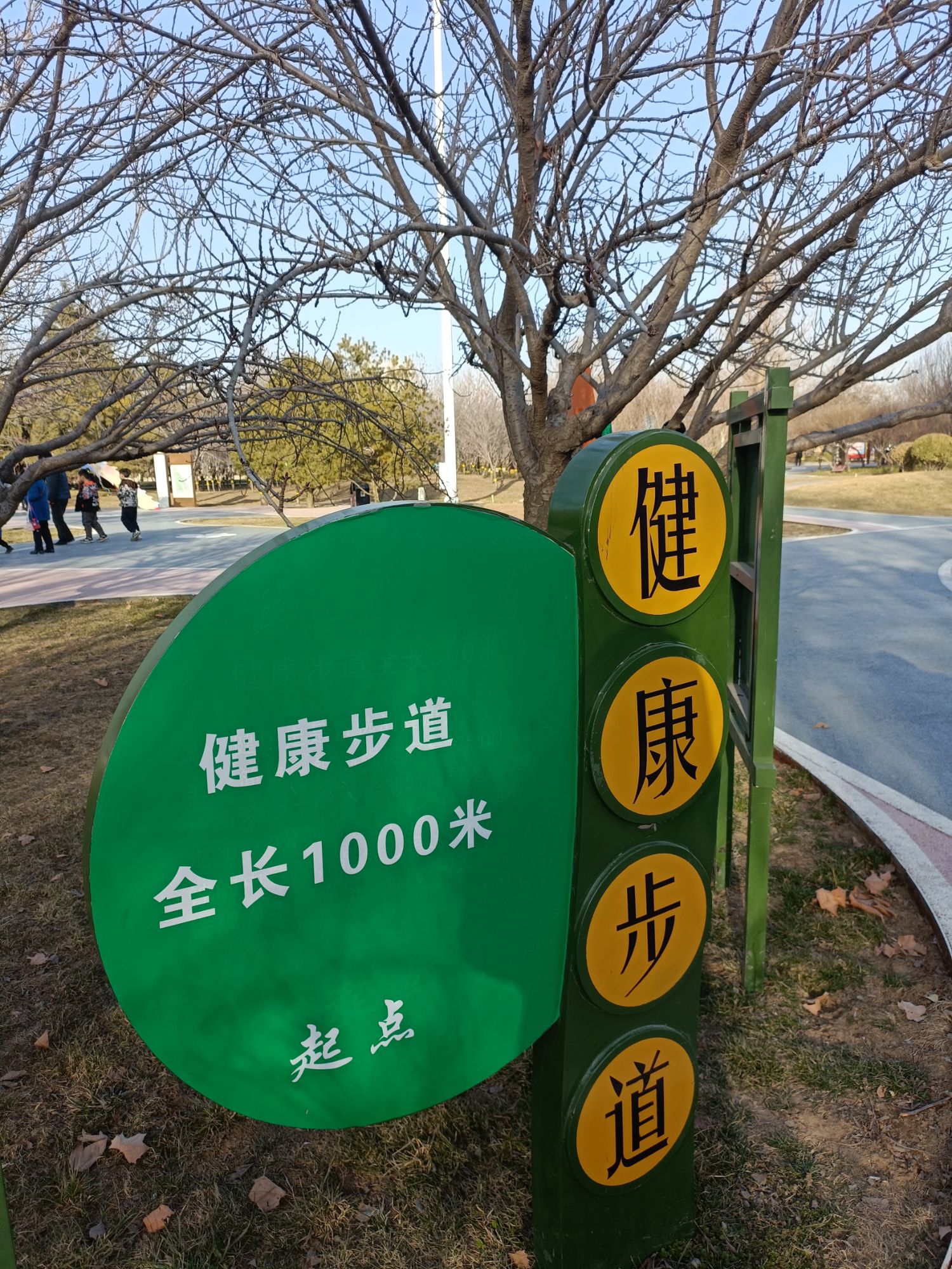 樱花公园旅行图片 2