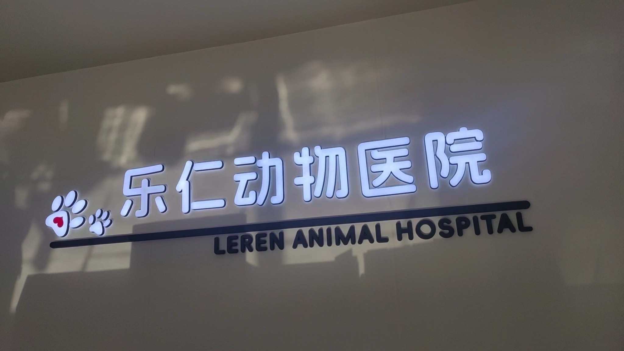 乐仁动物医院.猫科.异宠.骨科