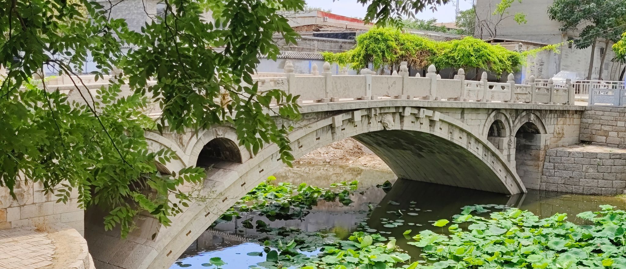 永通桥公园旅行图片 3