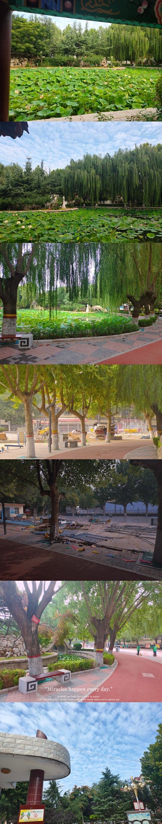 儿童公园旅行图片 1