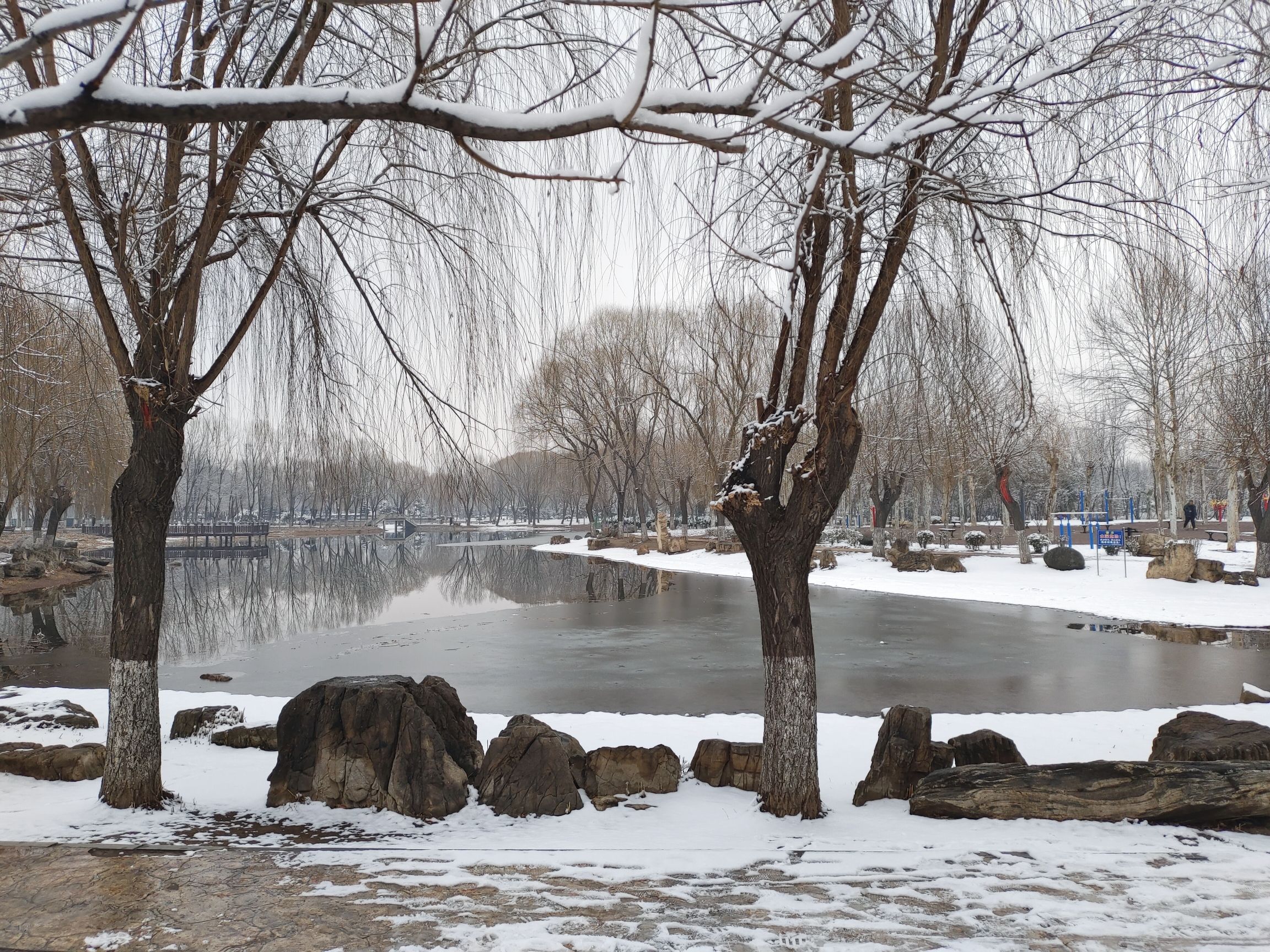 时代公园旅行图片 3