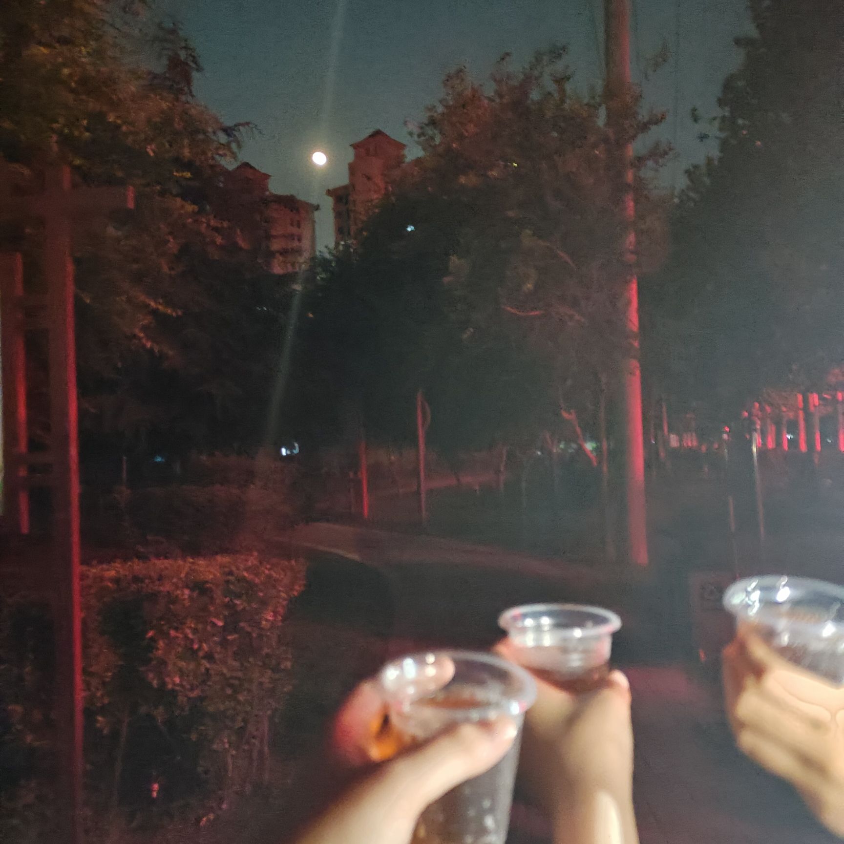 时代公园旅行图片 2
