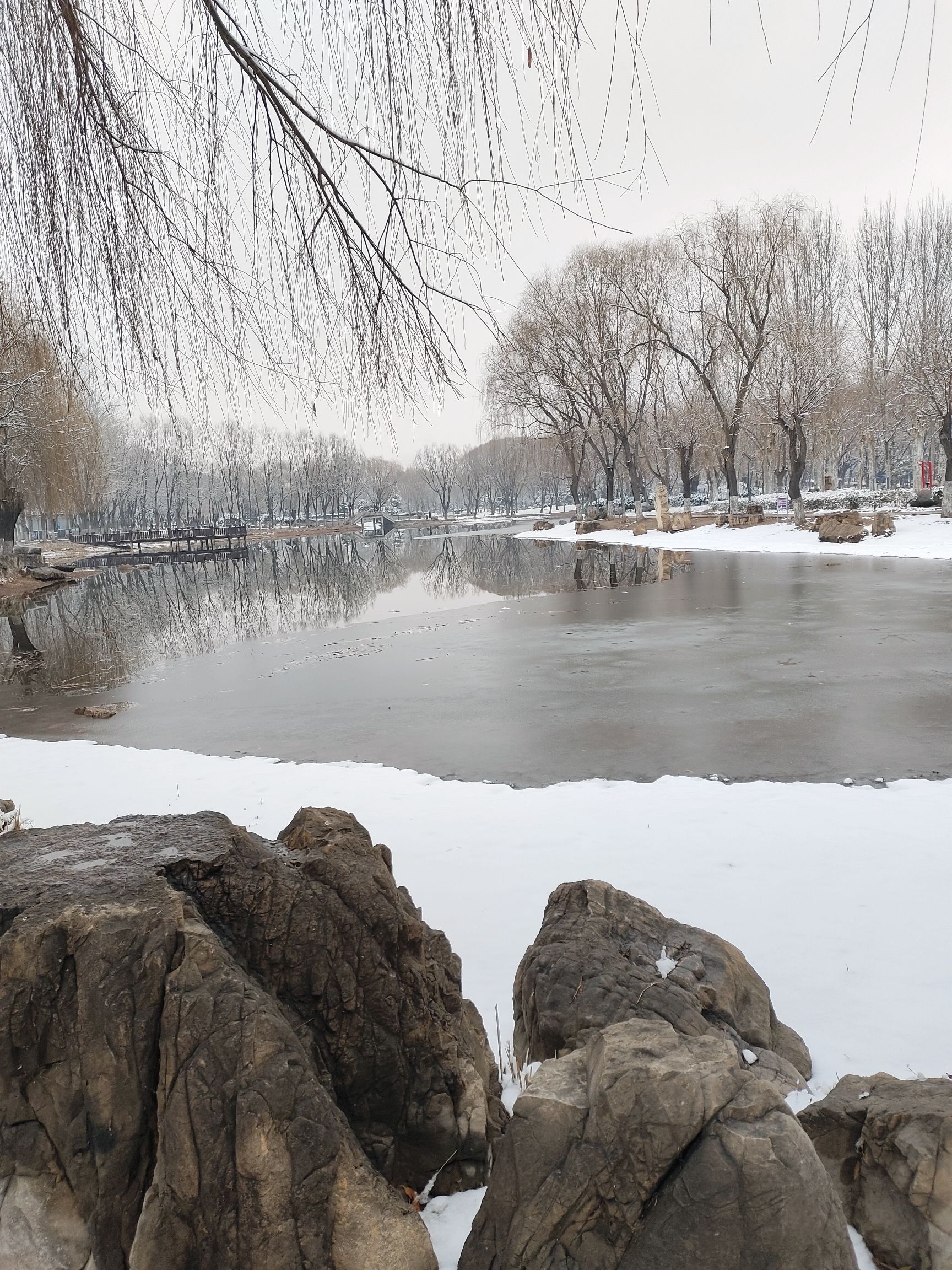 时代公园旅行图片 2