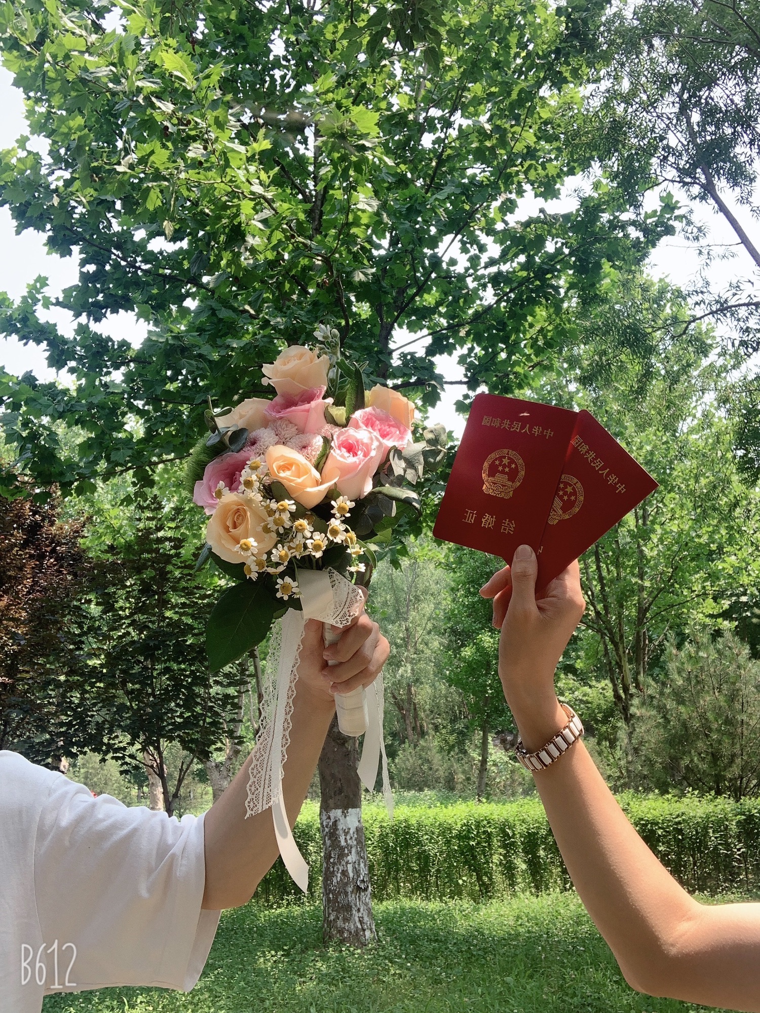 时代公园旅行图片 2