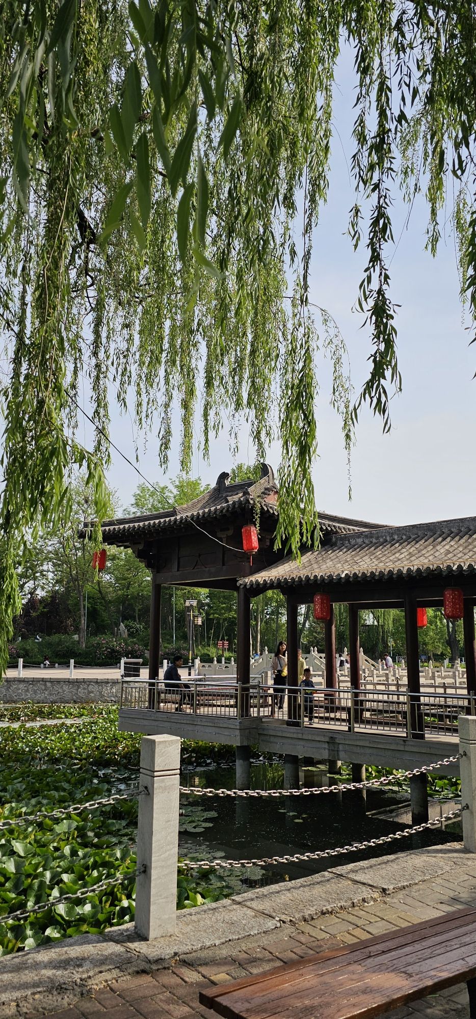 魏征公园旅行图片 1