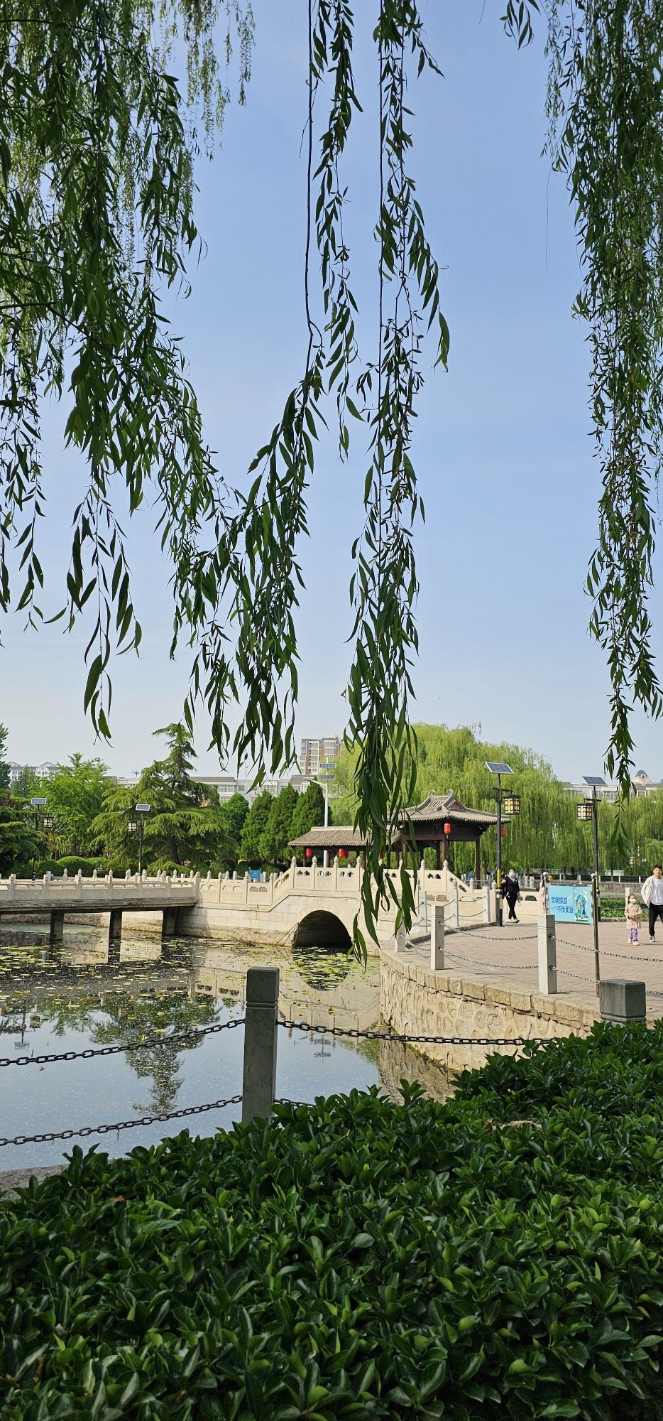 魏征公园旅行图片 3