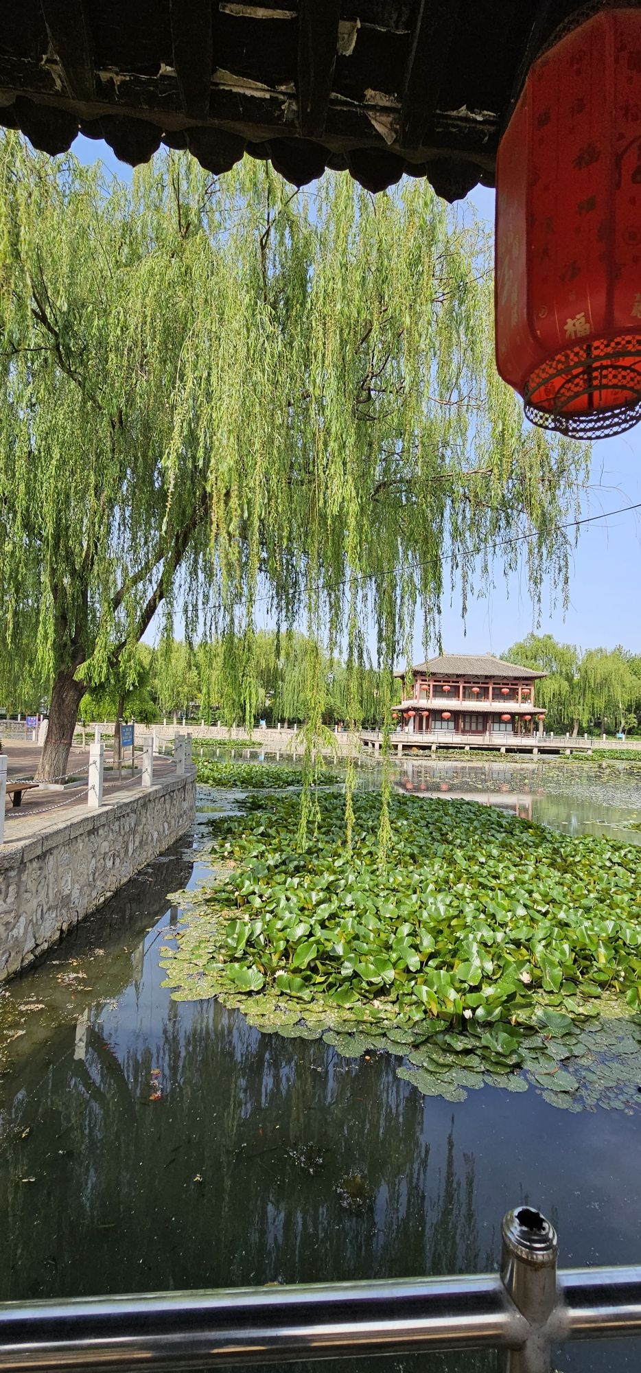 魏征公园旅行图片 2