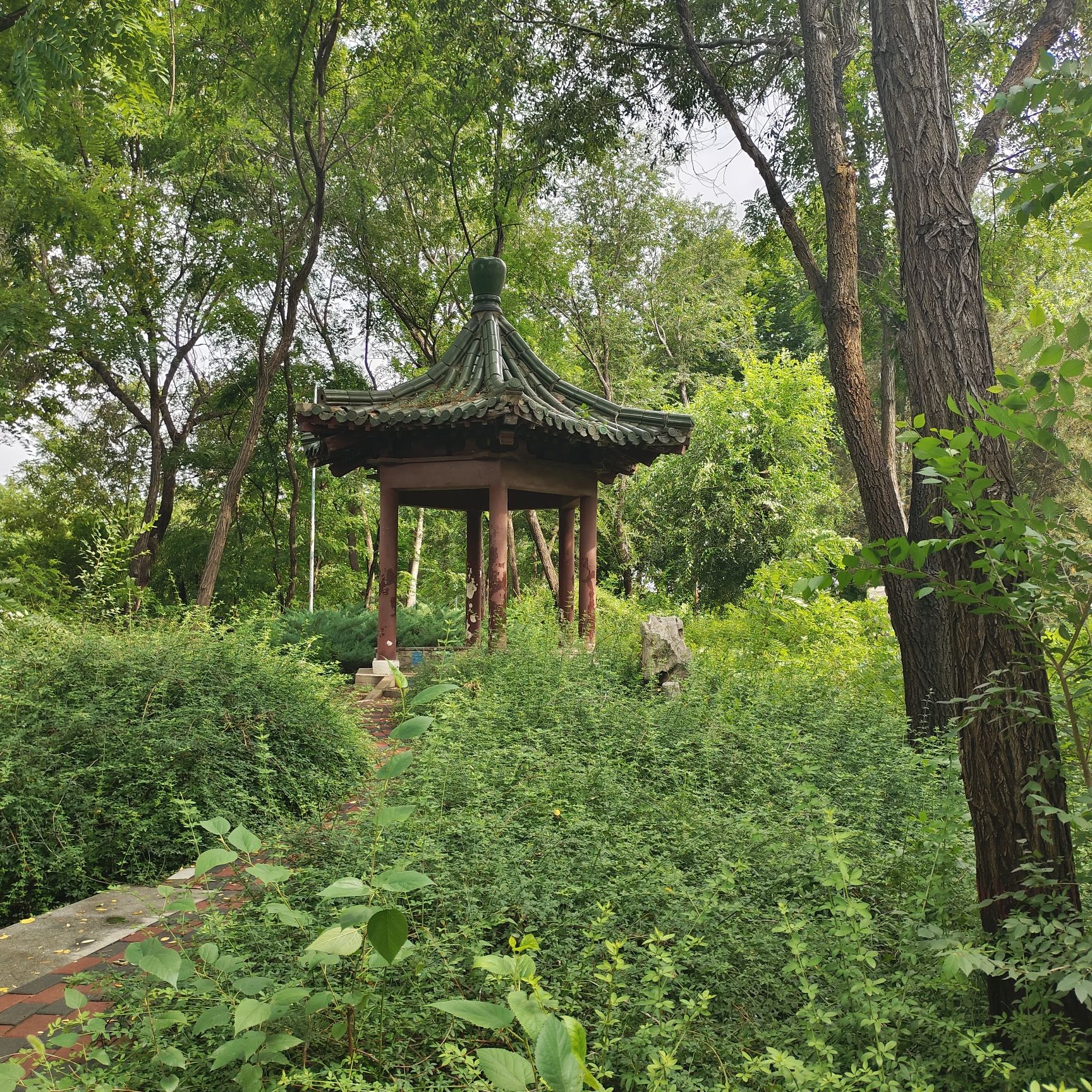 魏征公园旅行图片 1
