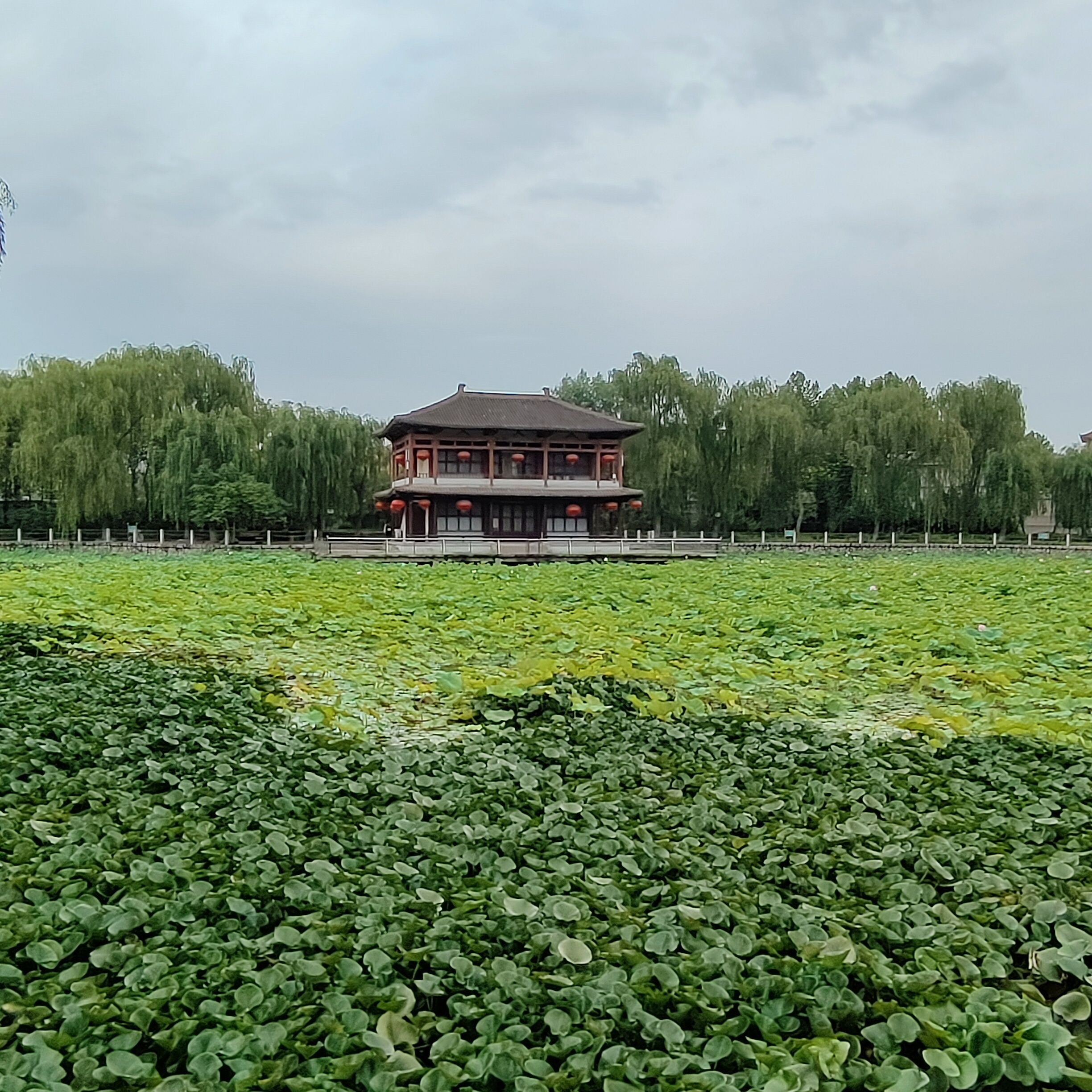 魏征公园旅行图片 3