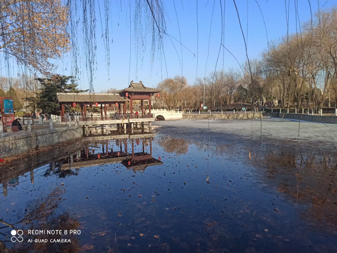 魏征公园旅行图片 2