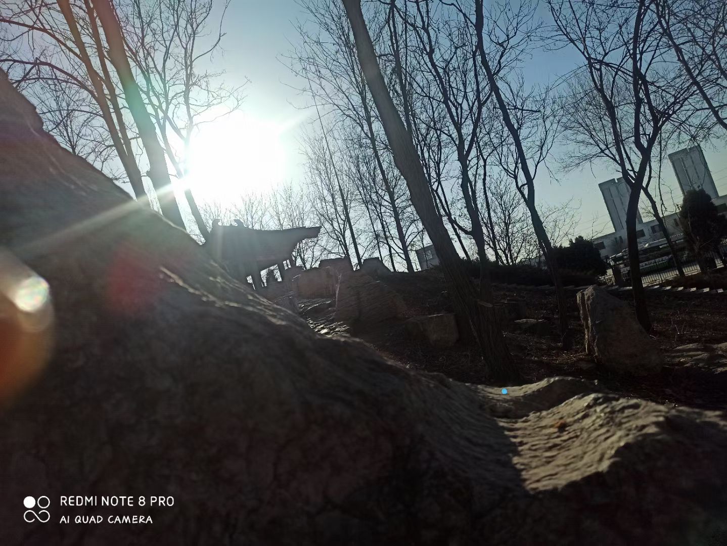 魏征公园旅行图片 3