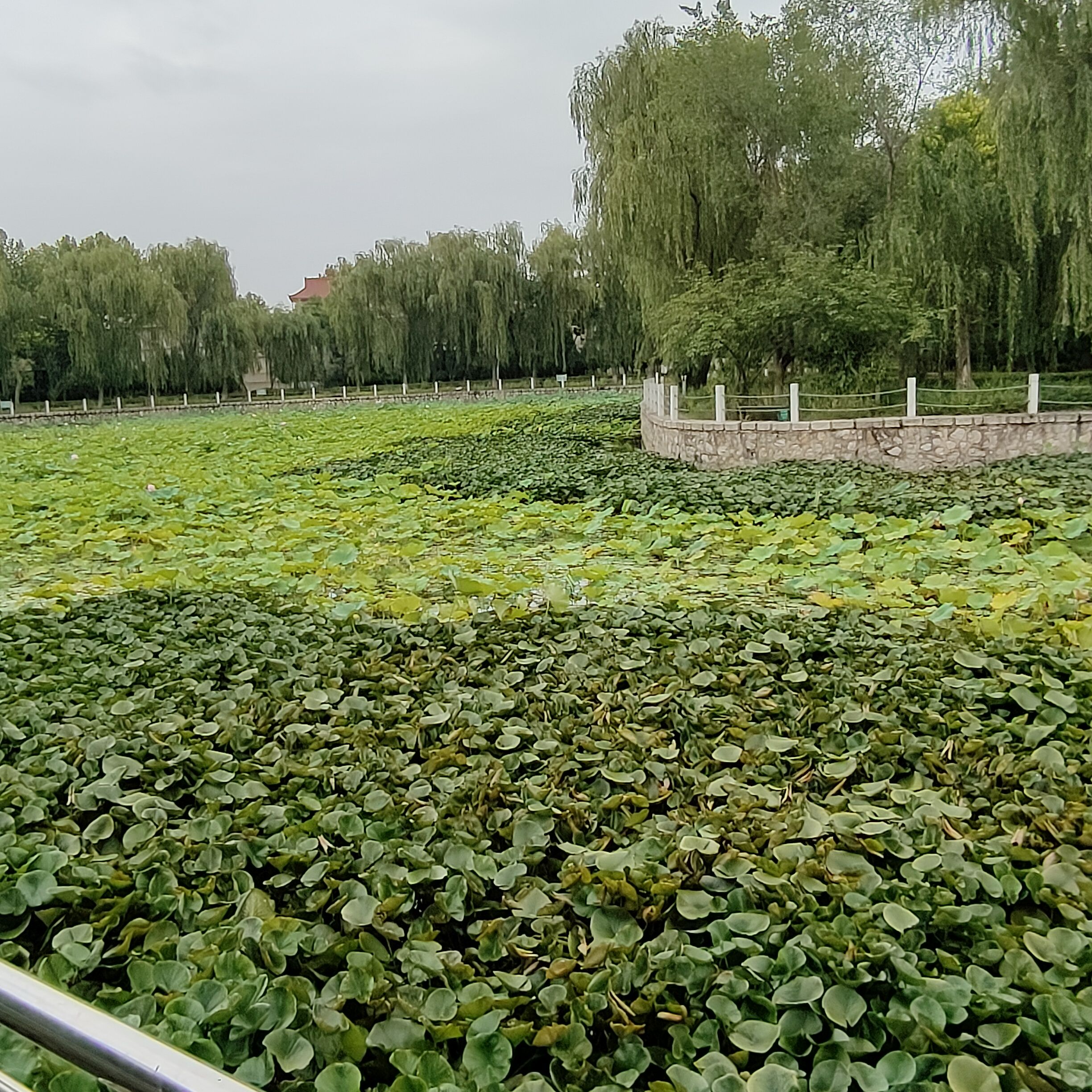 魏征公园旅行图片 1