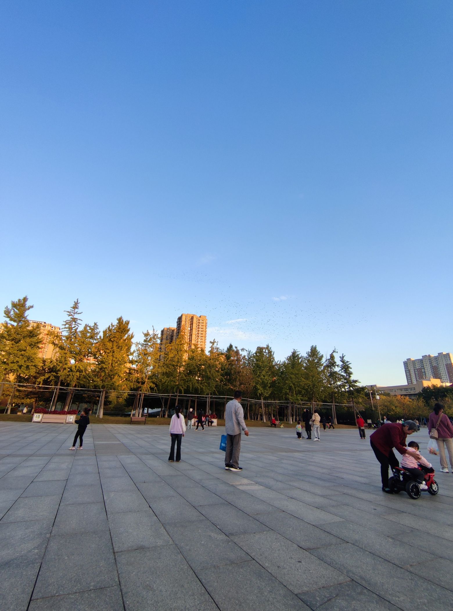 民心广场旅行图片 2