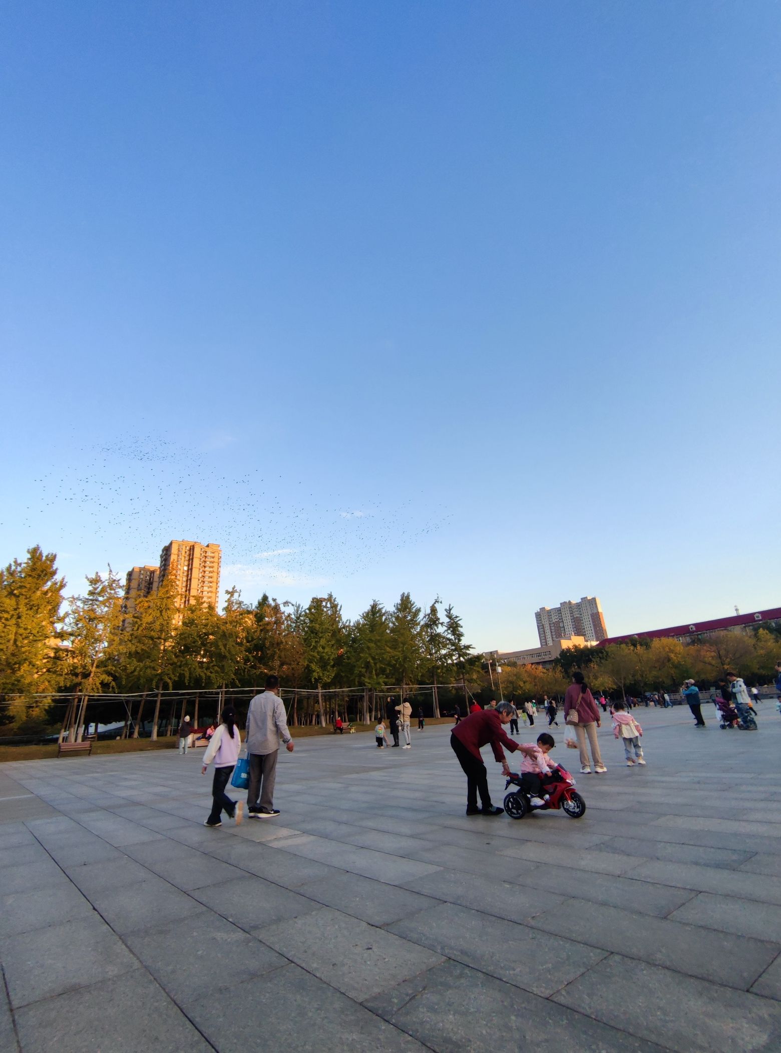 民心广场旅行图片 3