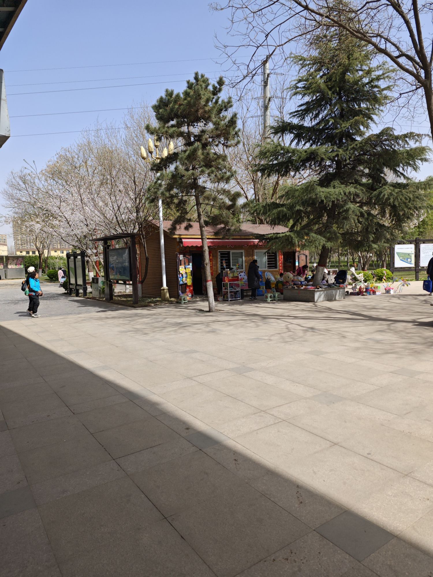 石津灌渠文化公园旅行图片 3
