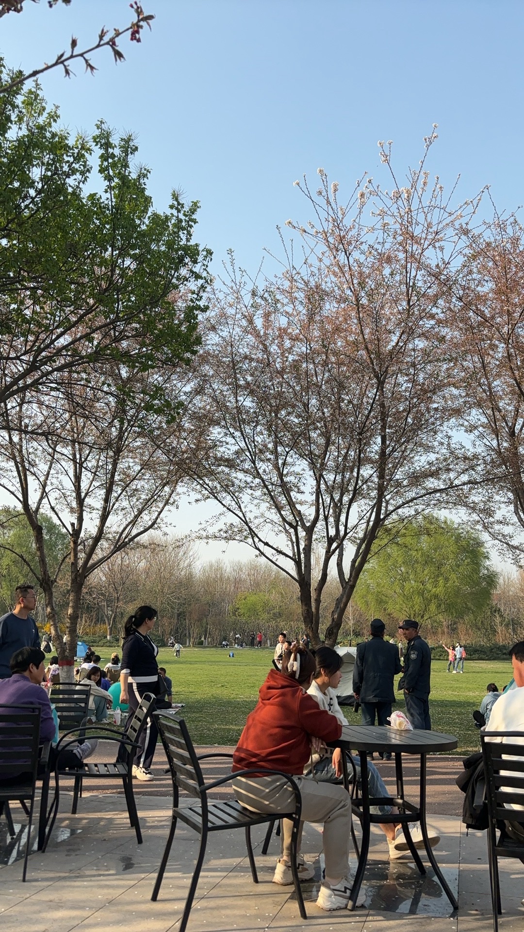 石津灌渠文化公园旅行图片 3
