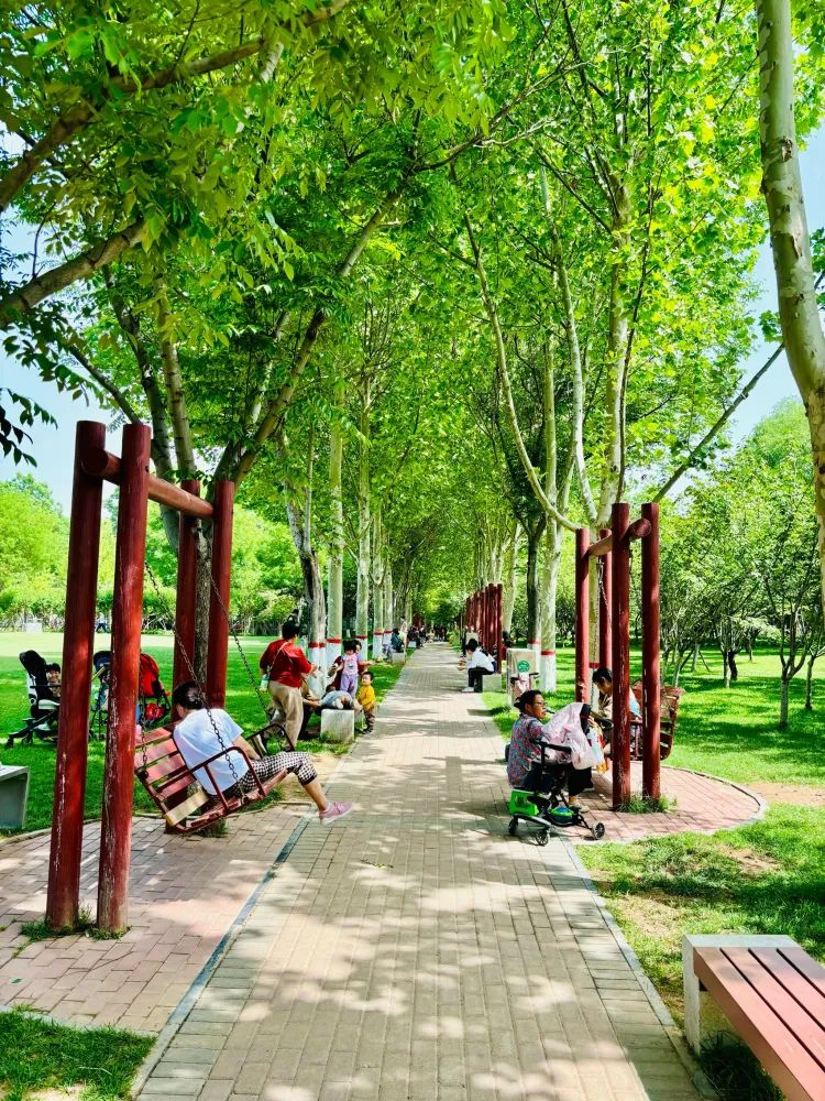 石津灌渠文化公园旅行图片 2