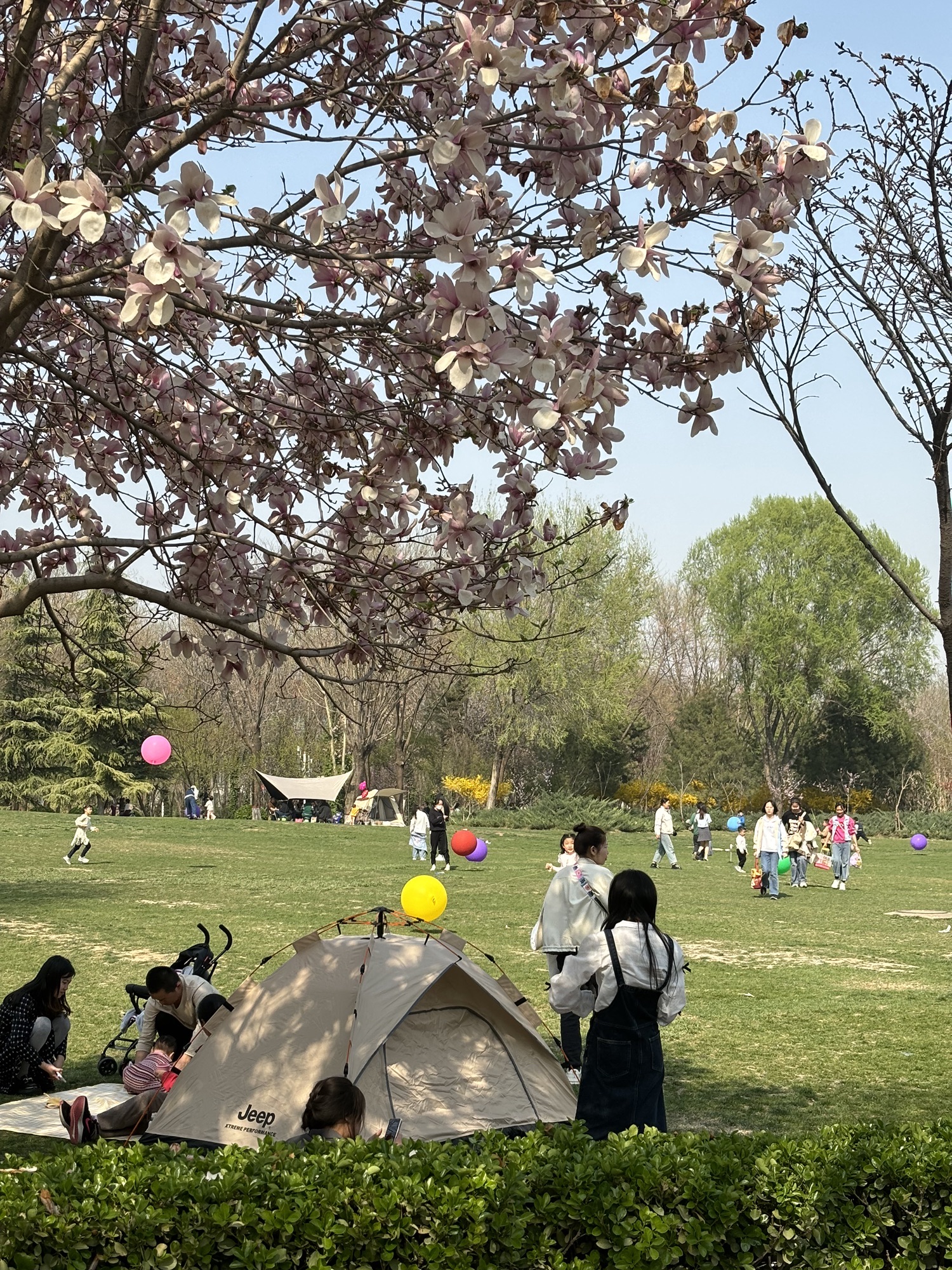 石津灌渠文化公园旅行图片 2