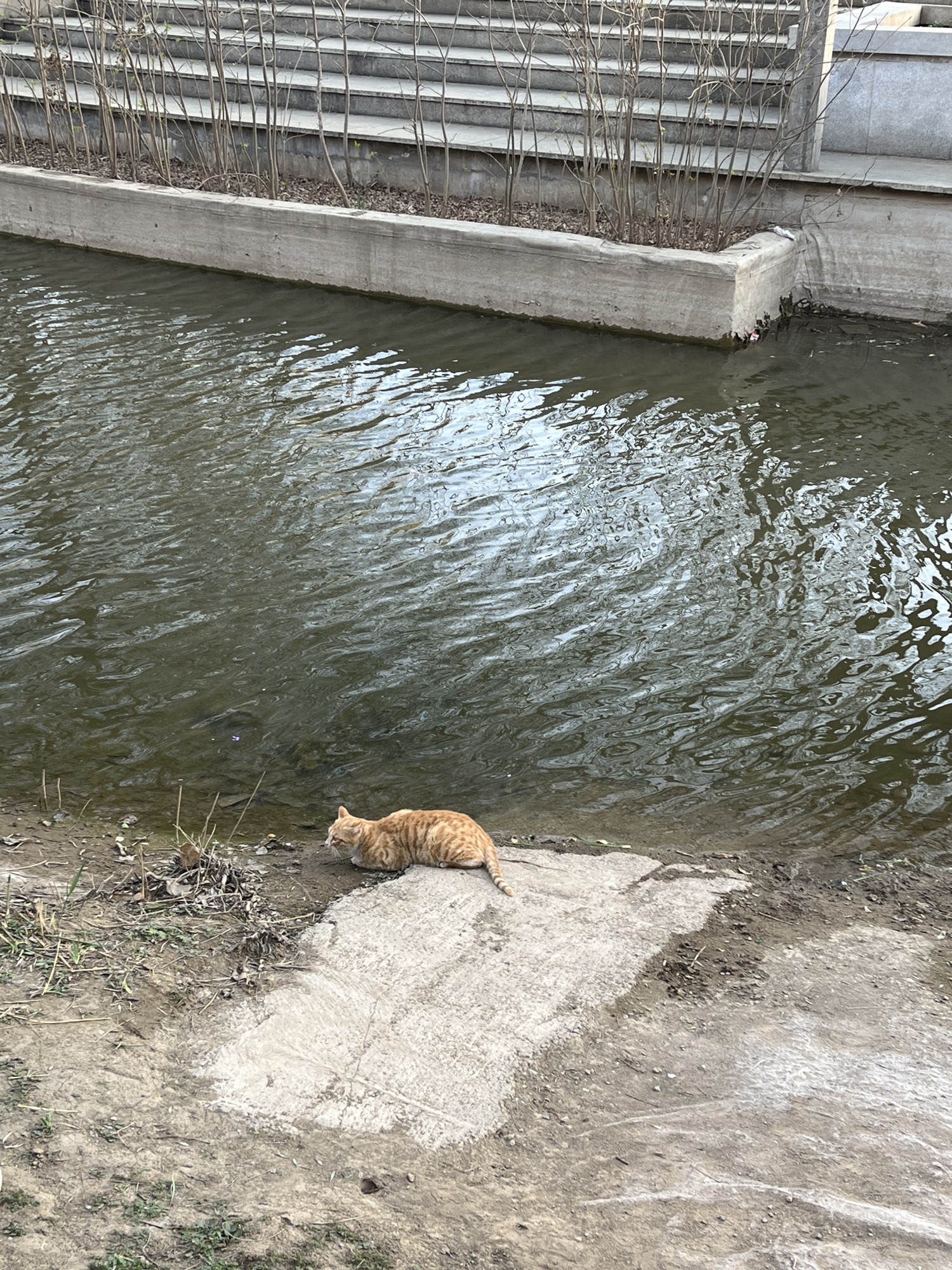 石津灌渠文化公园旅行图片 2