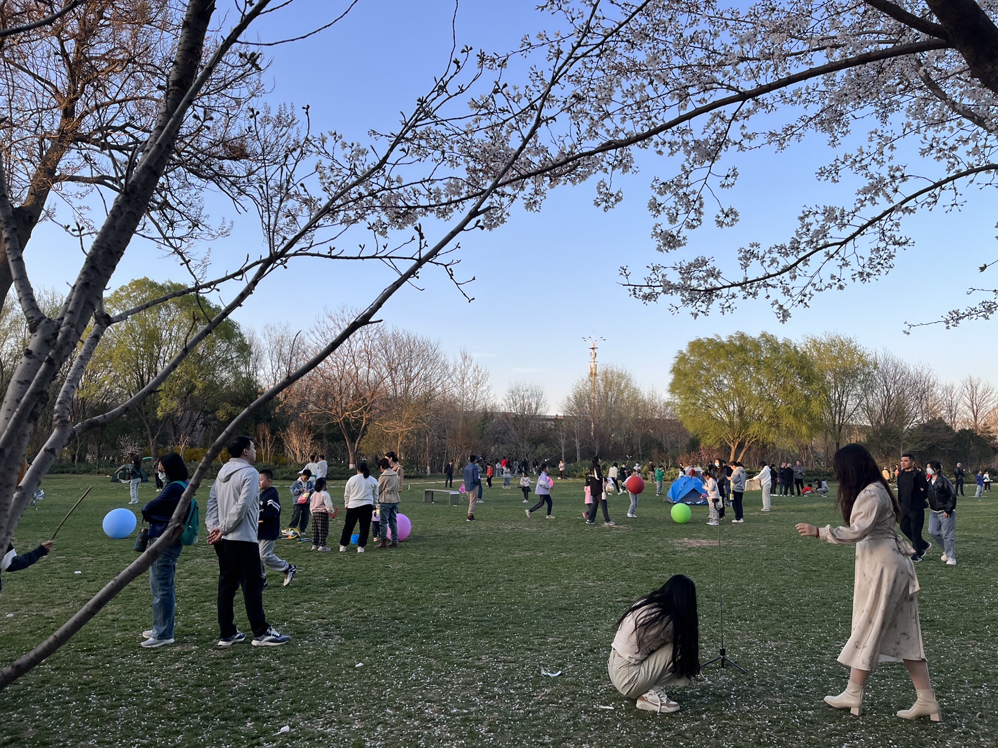 石津灌渠文化公园旅行图片 1