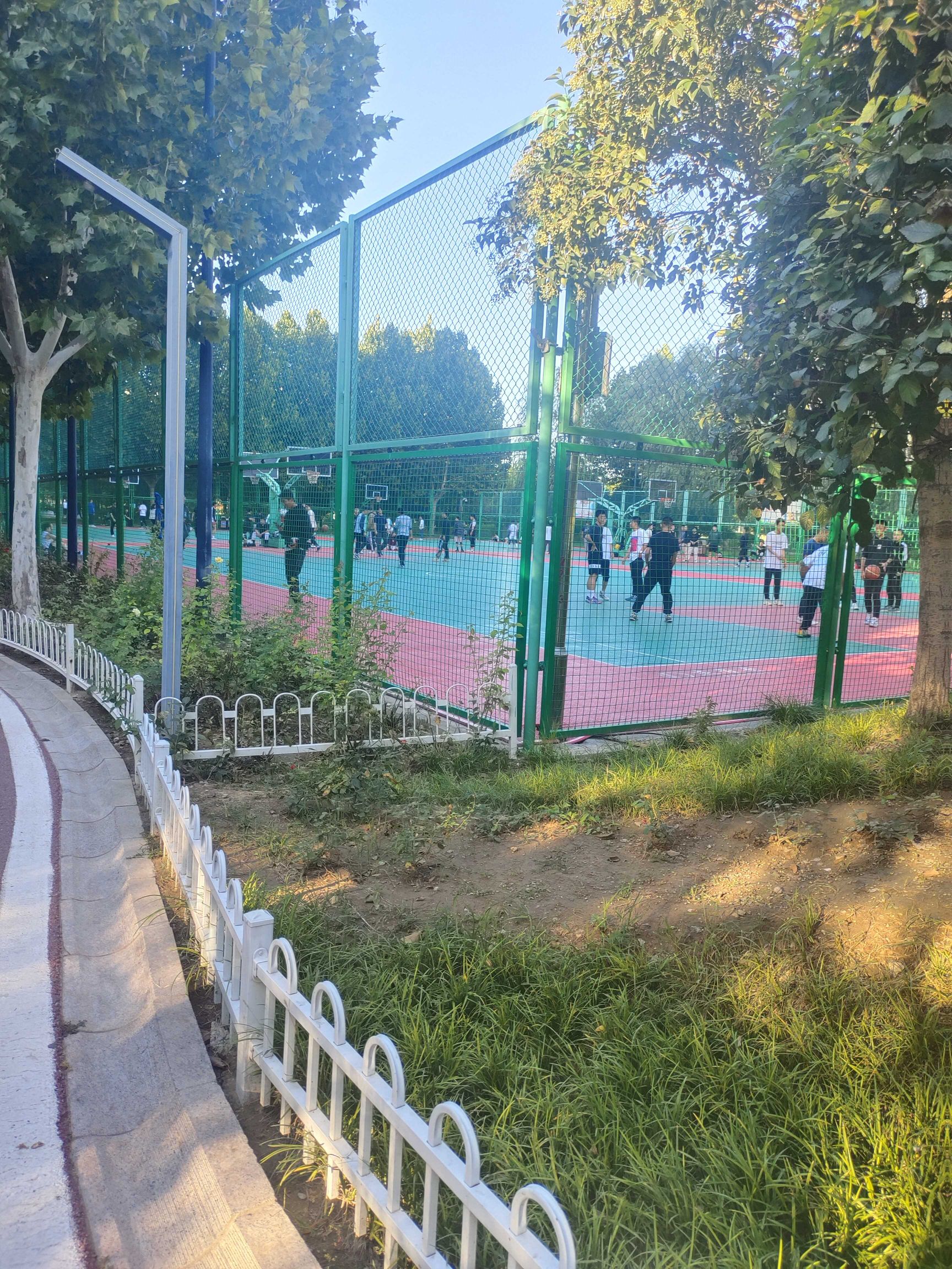 龙卡公园旅行图片 3
