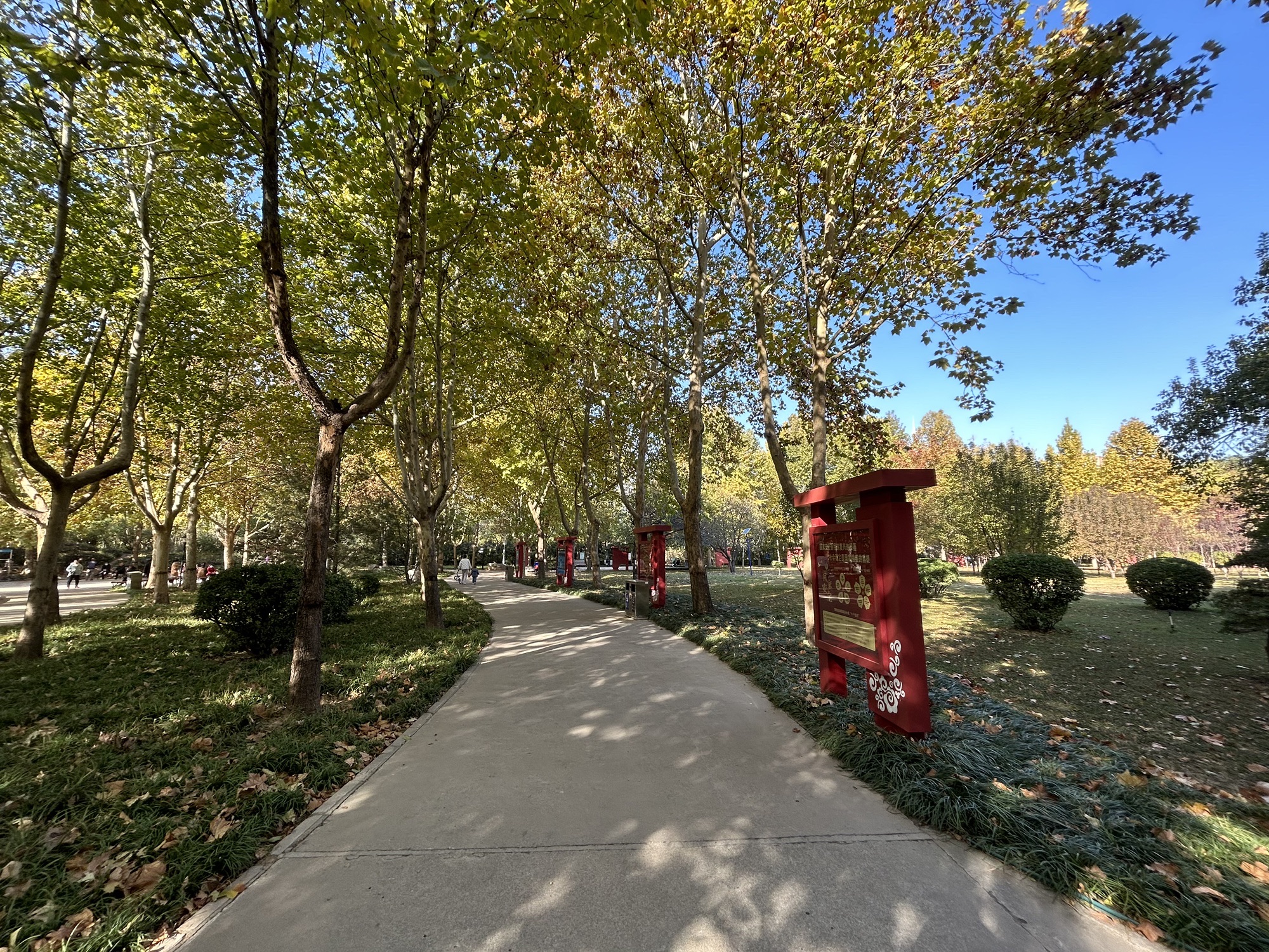 龙卡公园旅行图片 3