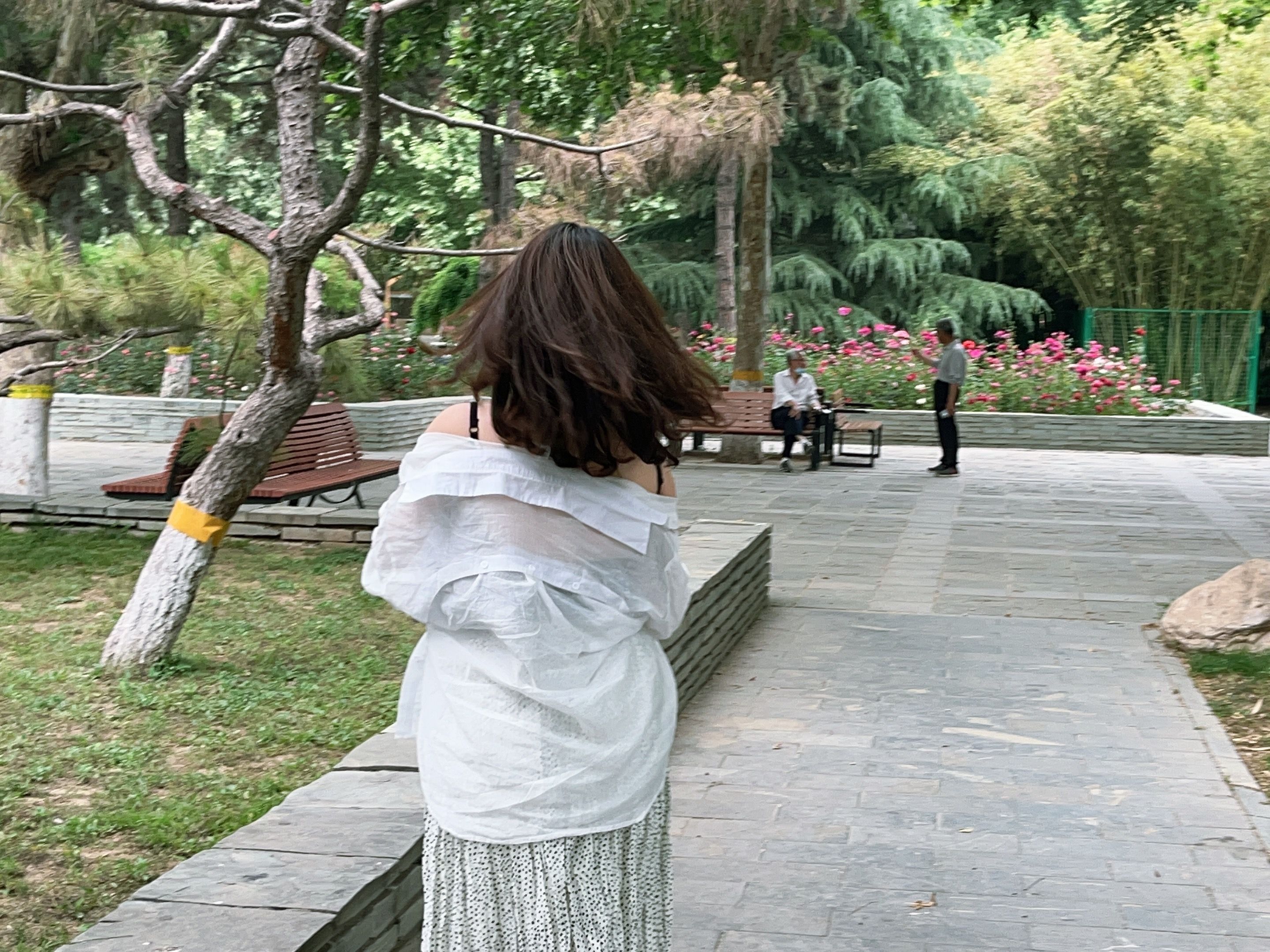龙卡公园旅行图片 1