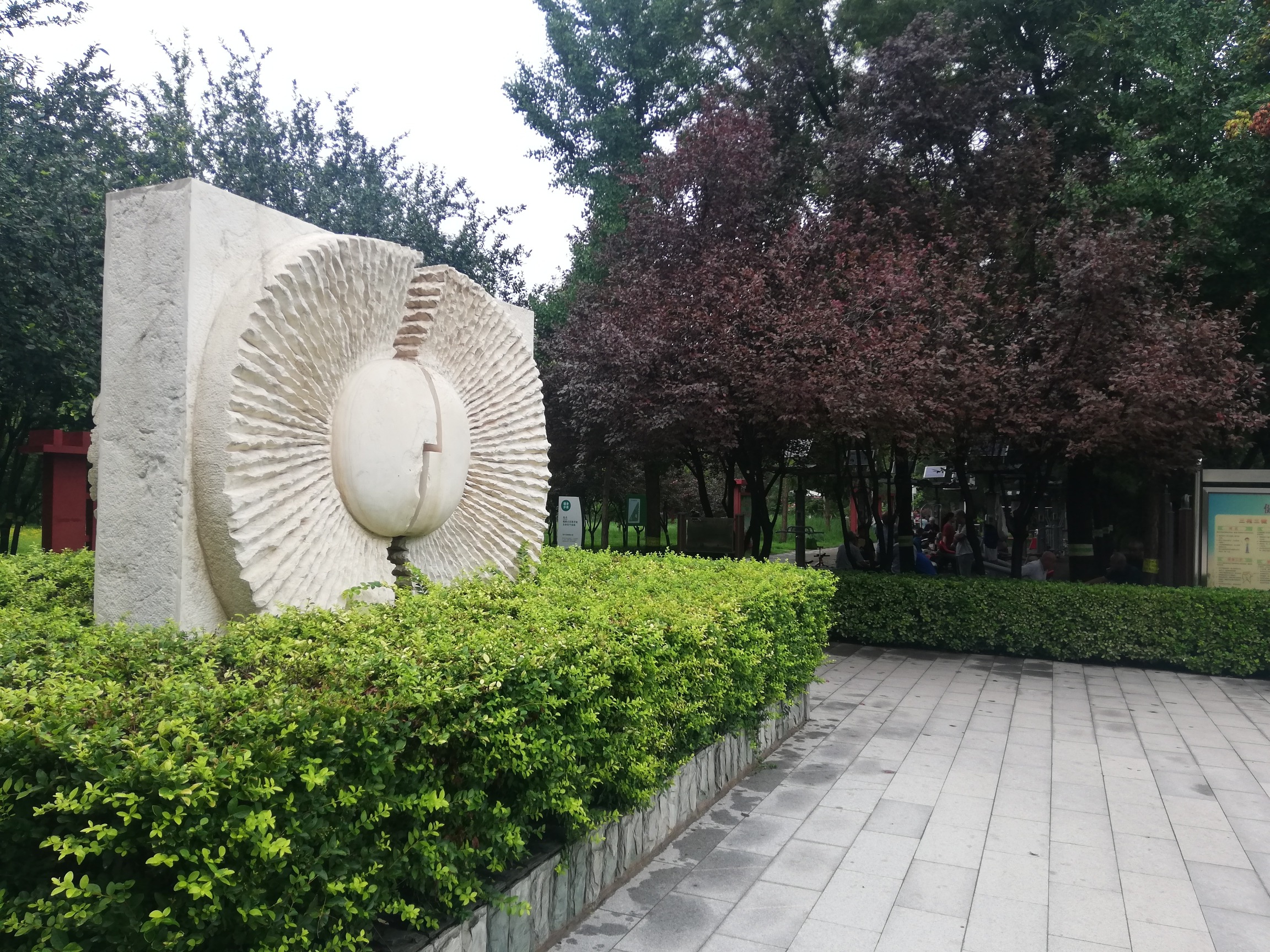 龙卡公园旅行图片 3