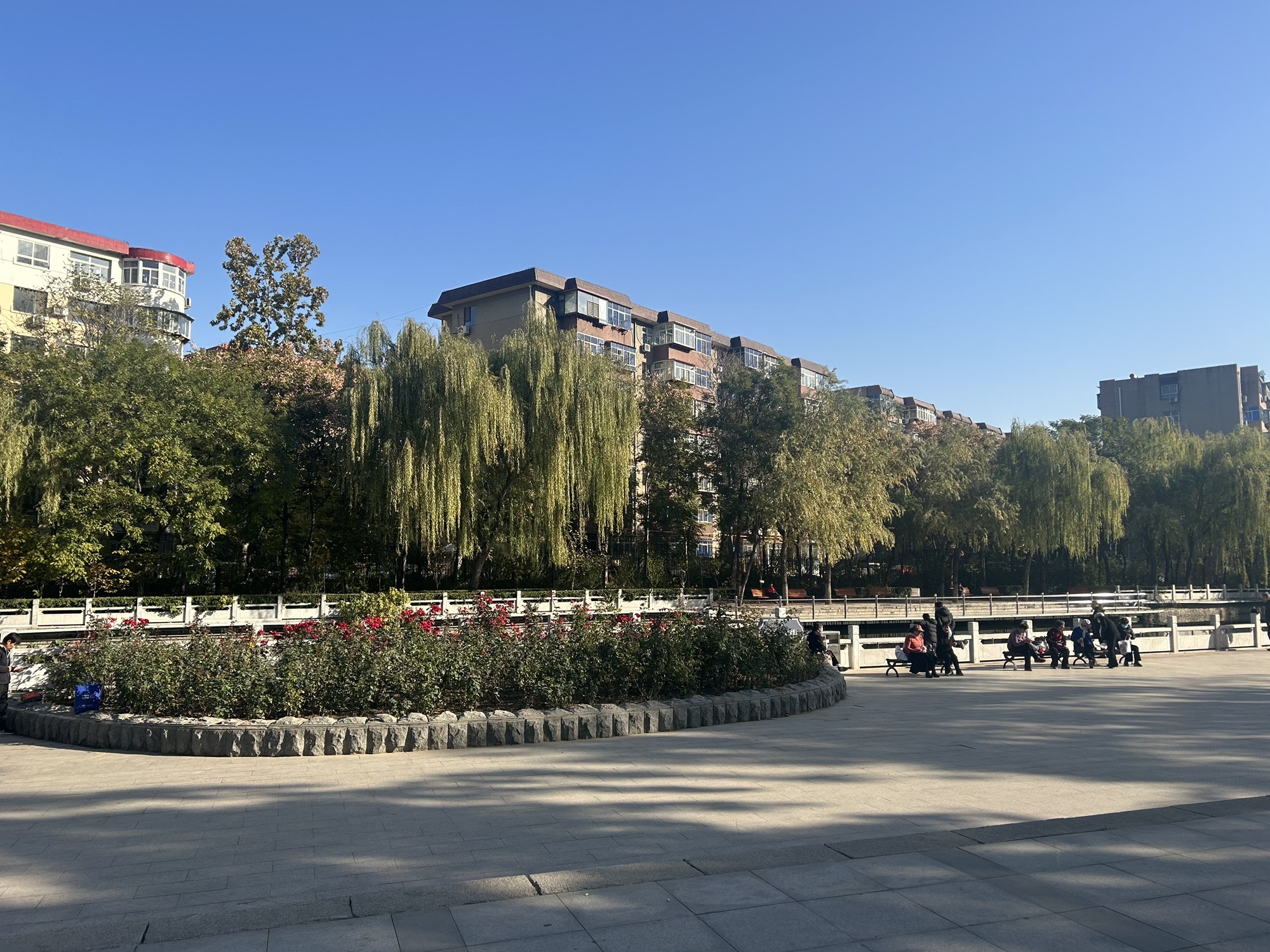 富强公园旅行图片 2