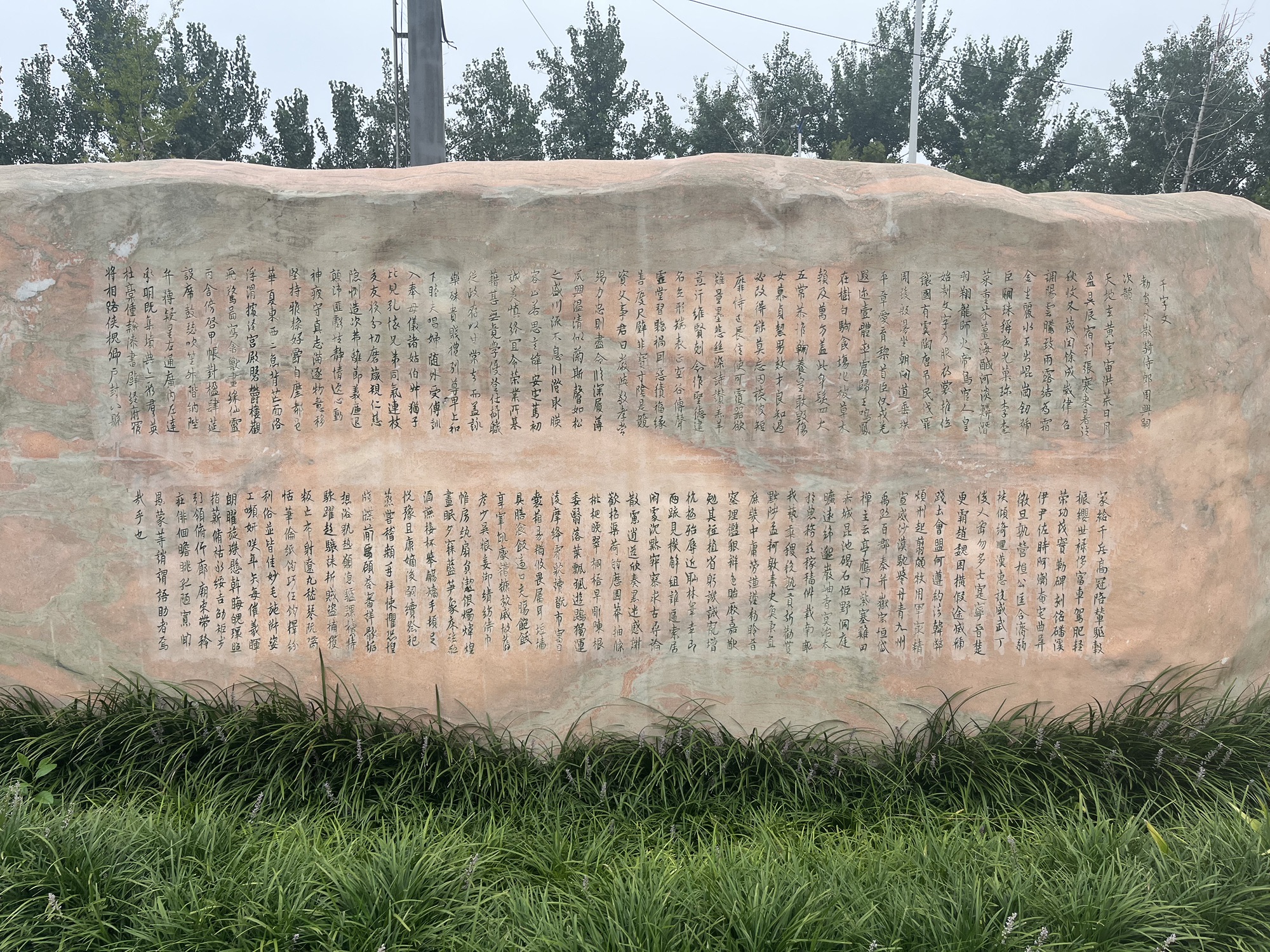 育才公园旅行图片 3
